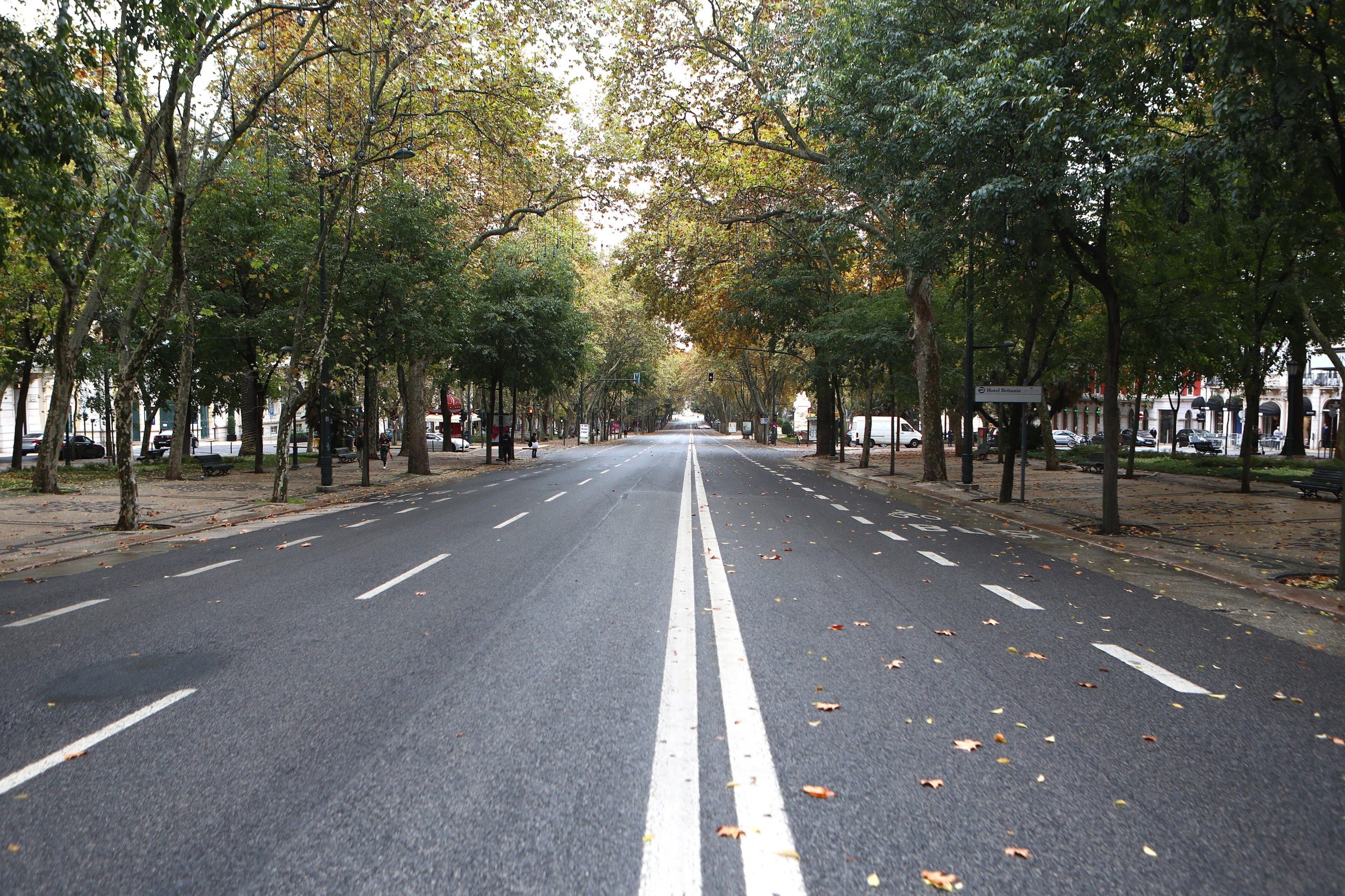 JMJ: Não inscritos só podem assistir à cerimónia de quinta-feira na Avenida da Liberdade