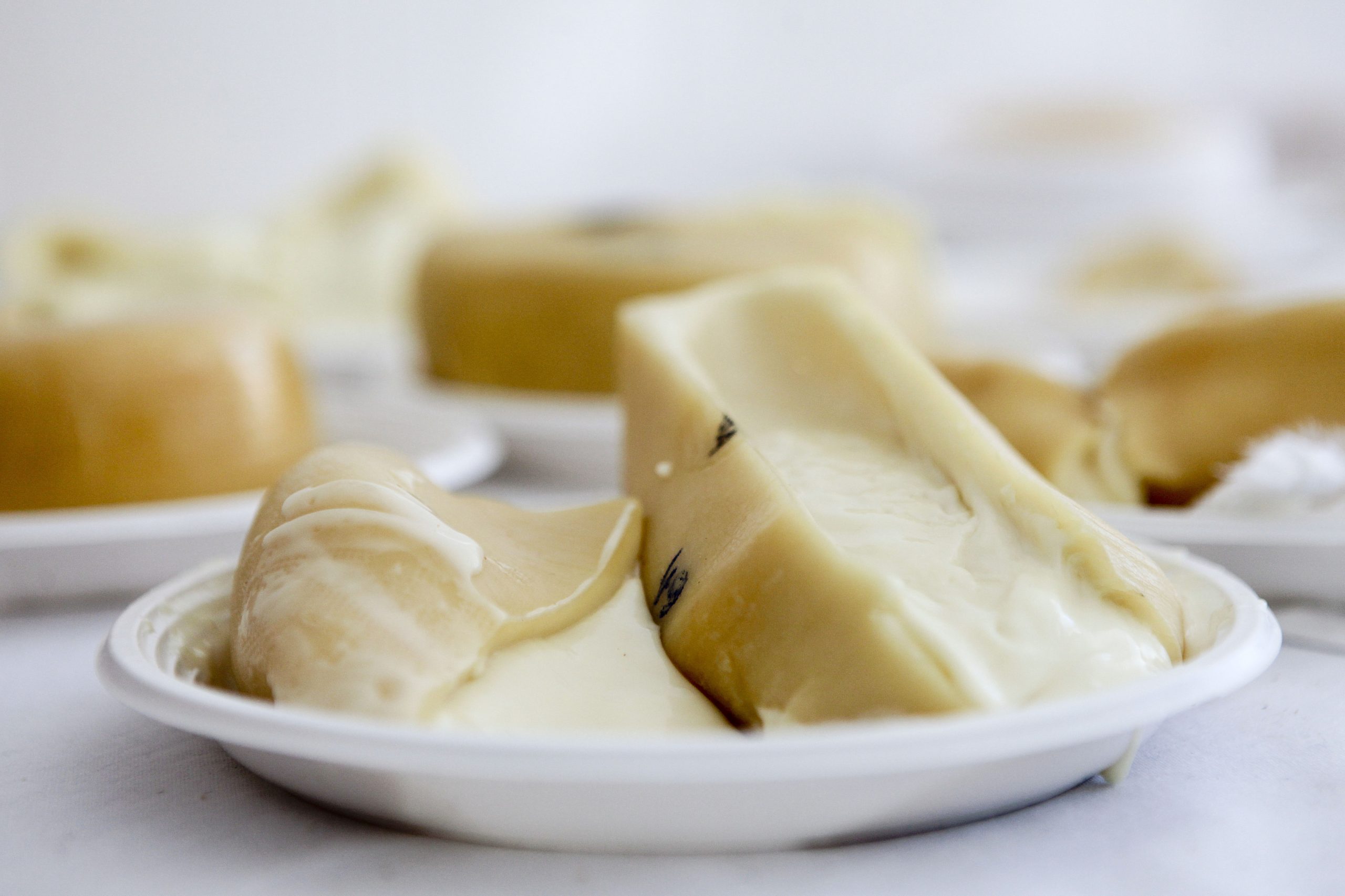 Apreendidas 2,3 toneladas de queijo Serra da Estrela numa fábrica de Seia