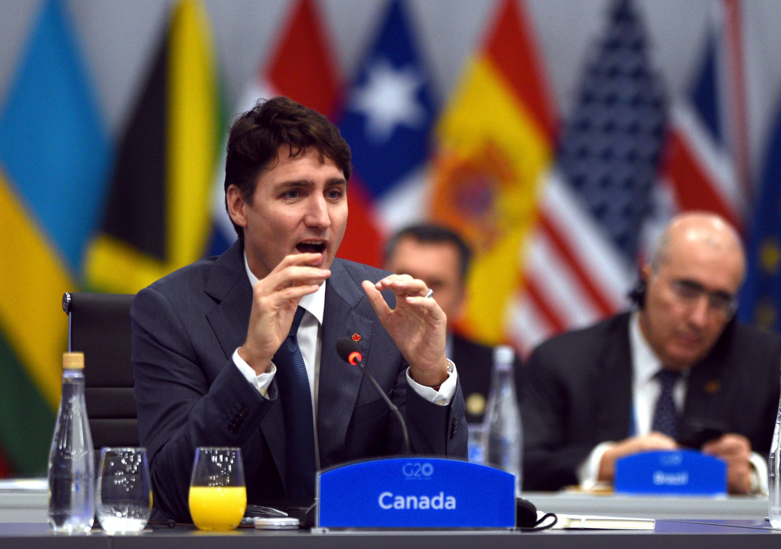 Canadá interpela Japão sobre a “importância da conservação das baleias”