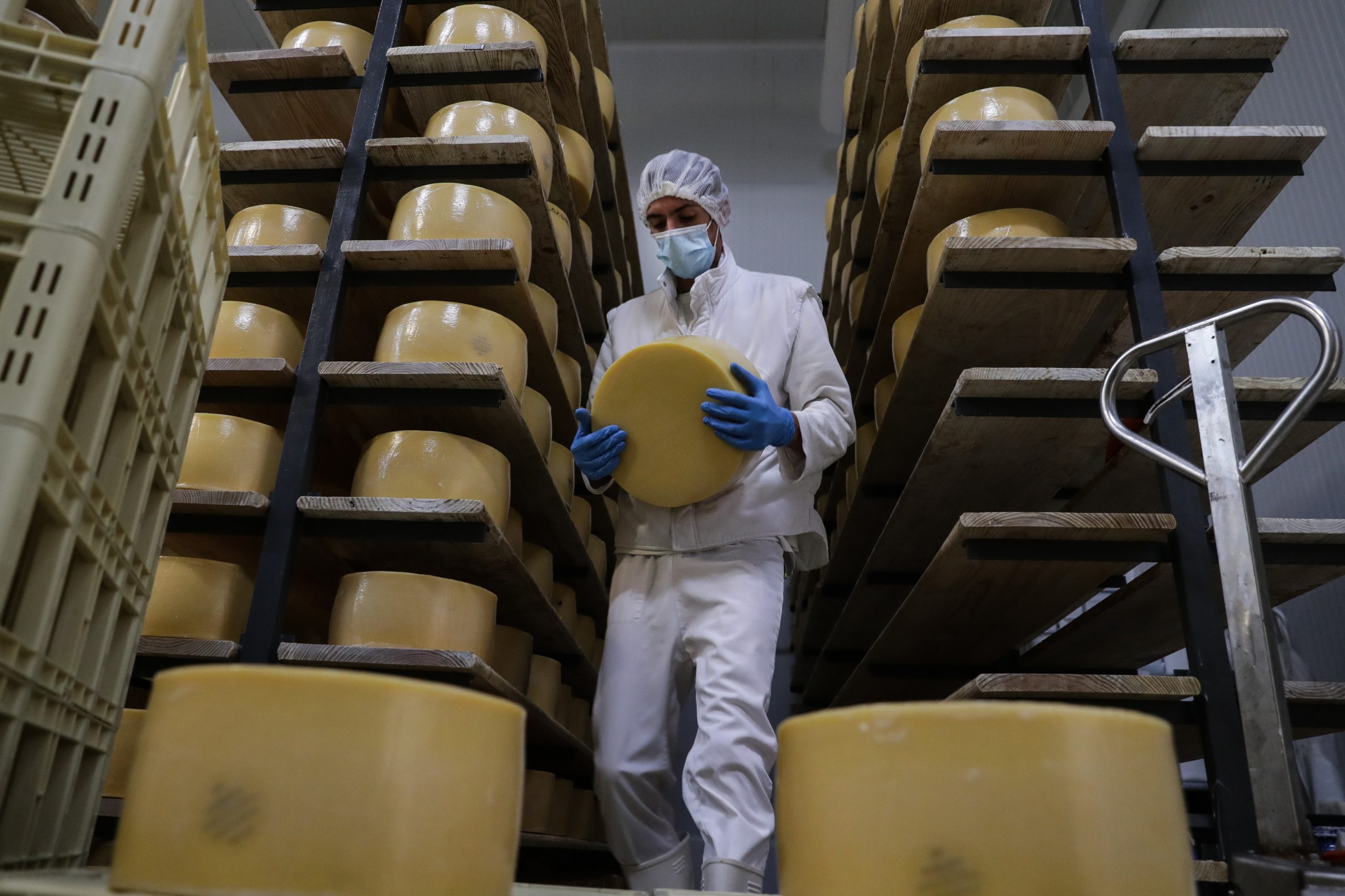 Queijo de São Jorge é candidato a Património Imaterial Mundial da UNESCO