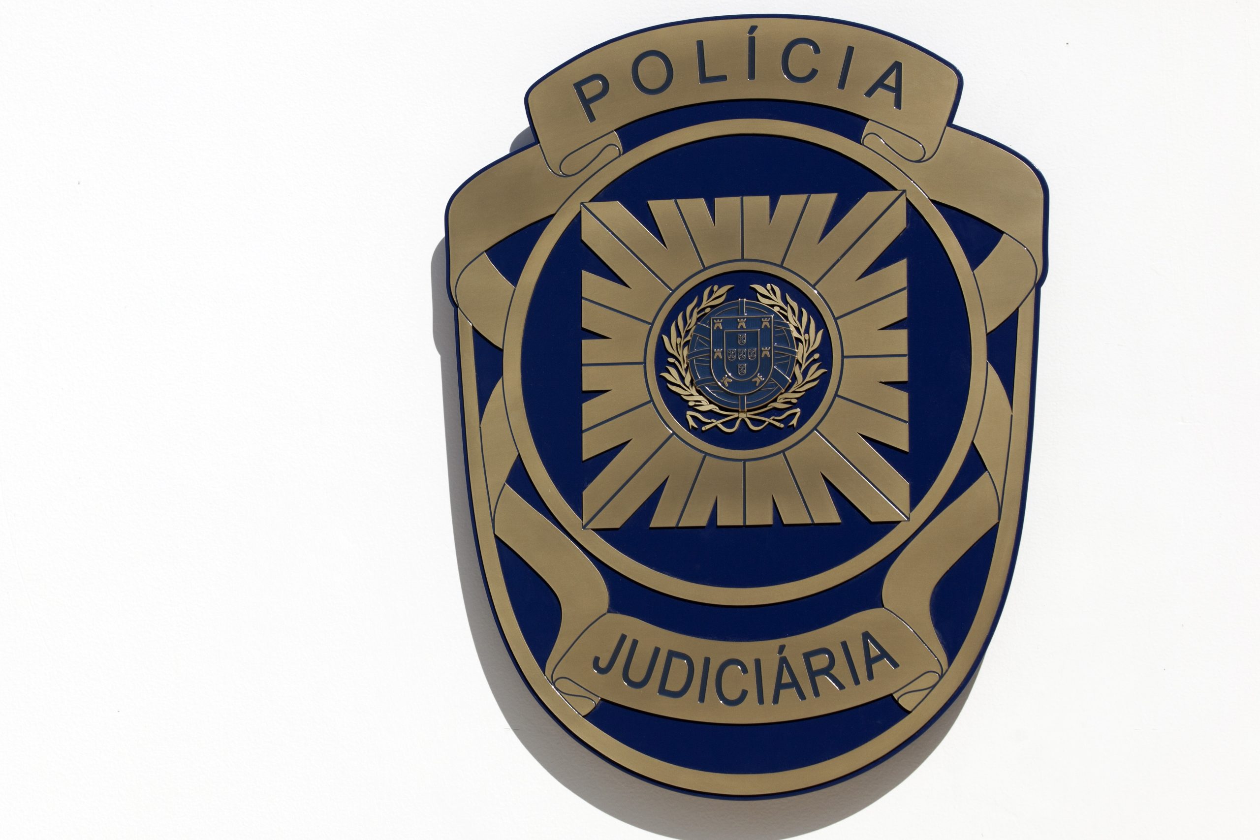 Polícia Judiciária deteve alegado autor de três fogos em Sever do Vouga