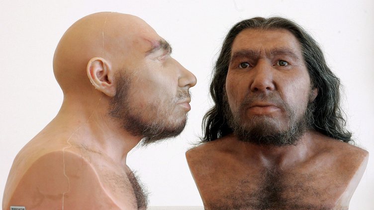 Alimentação pode ter causado o desaparecimento dos Neandertais
