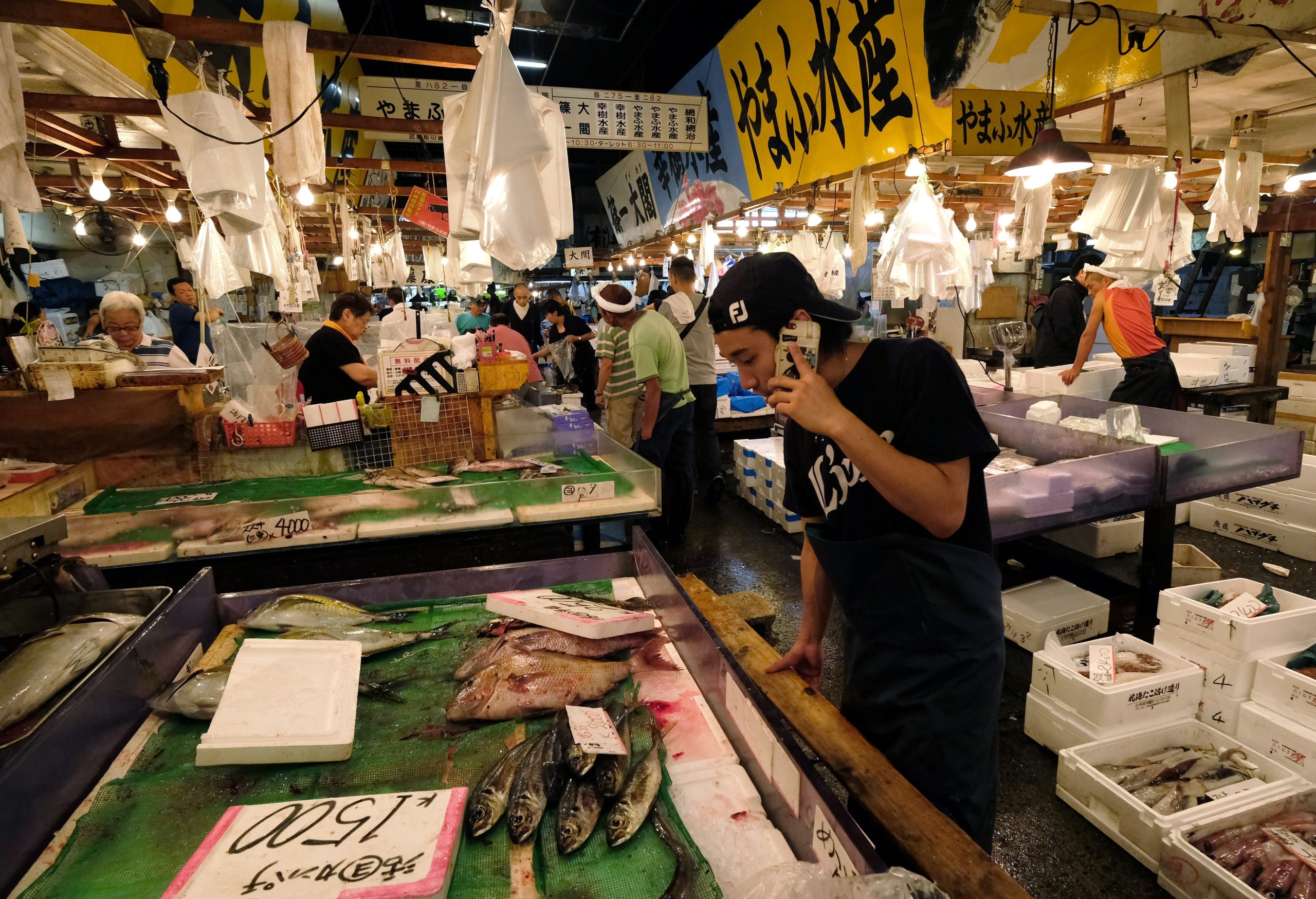 Tóquio. Famoso mercado de peixe Tsukiji muda de sítio ao fim de 80 anos