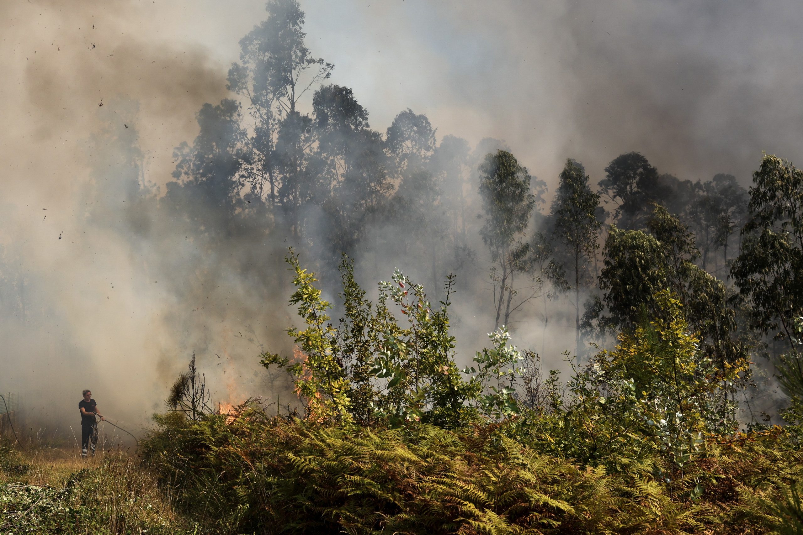 Mulher de 83 anos morre em Mangualde. Sobe para quatro número de mortes causadas pelos incêndios