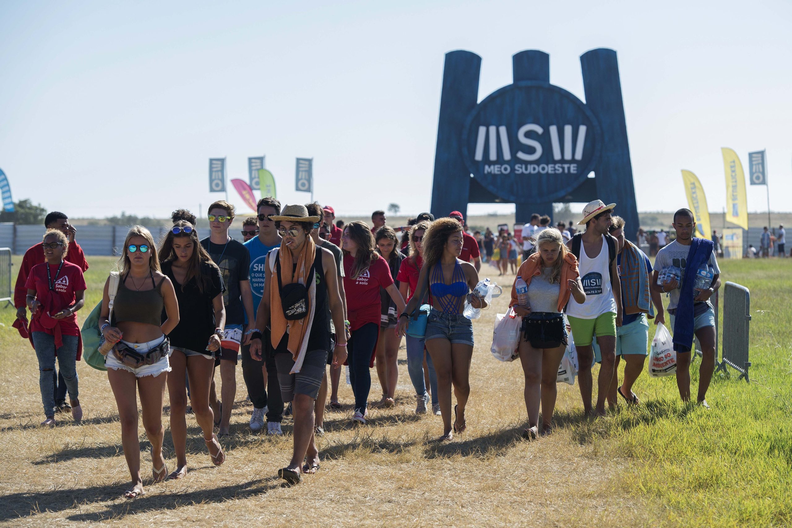 Família de corujas-das-torres “inspira” campanha ambiental no MEO Sudoeste