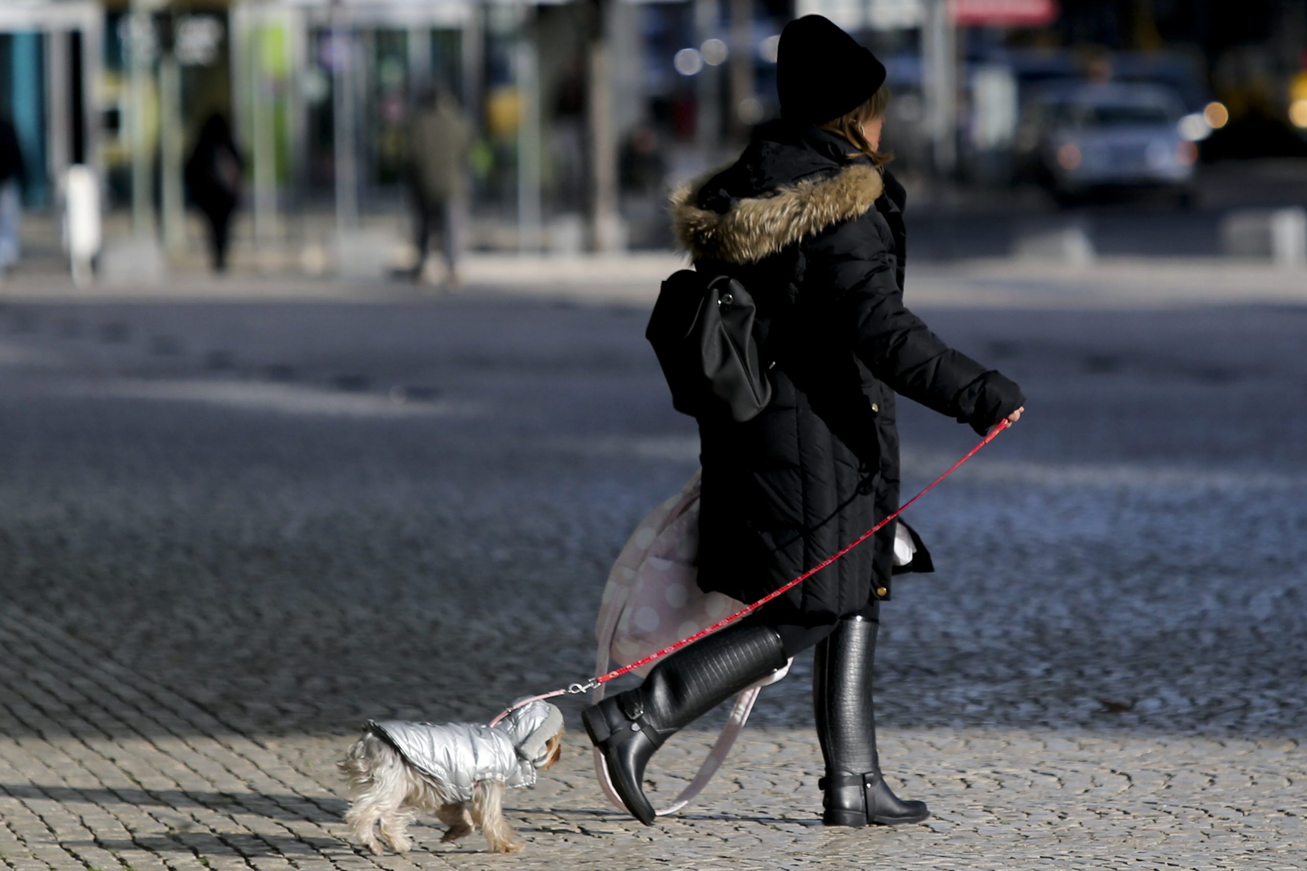 Agasalhe-se na passagem de ano. IPMA prevê temperaturas mínimas entre os -3°C e os 10°C no continente