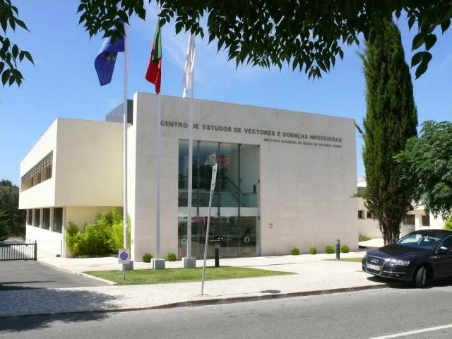 Há uma doença desconhecida em São Tomé e Príncipe que os médicos portugueses estão a tentar curar