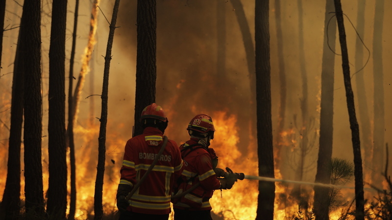 Incêndios: Aldeia em Arcos de Valdevez afinal não foi evacuada e fogo foi extinto