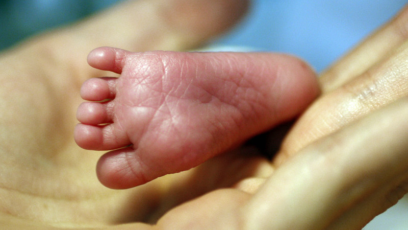 Ministra alerta que alargamento da licença parental poderá agravar desigualdades