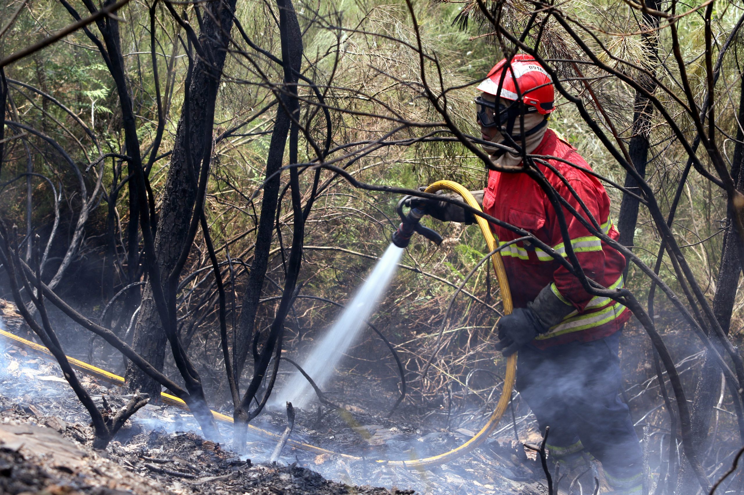Incêndios: Fogos de Oleiros estão dominados