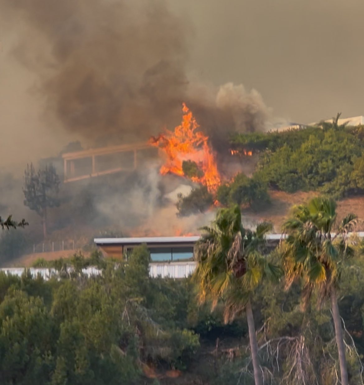 Famosos fogem de Pacific Palisades, o bairro de luxo de Los Angeles que está a ser destruído pelo fogo
