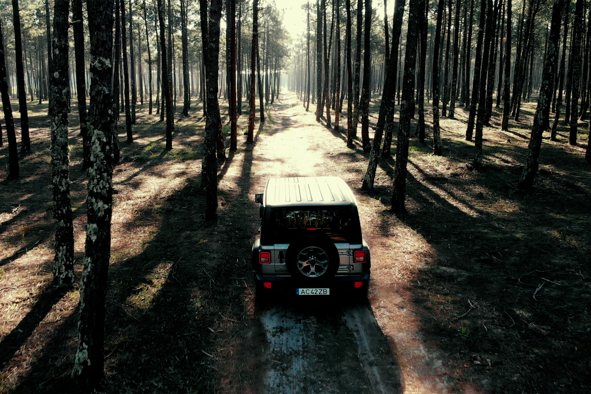 Jeep: o carro que nasceu para a guerra, cresceu no campo e já vive na cidade