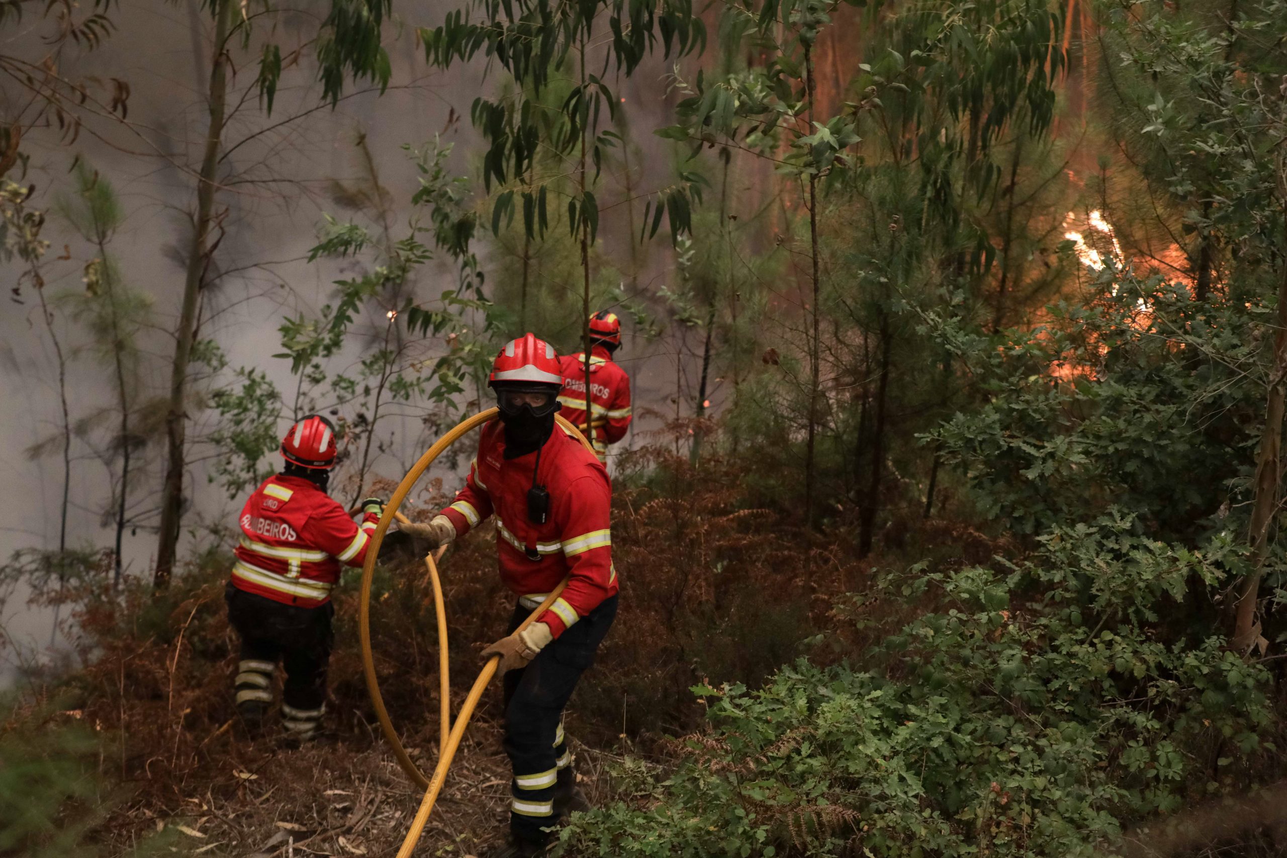Incêndios: Mafra desativa Plano Municipal da Proteção Civil, com fogos em rescaldo