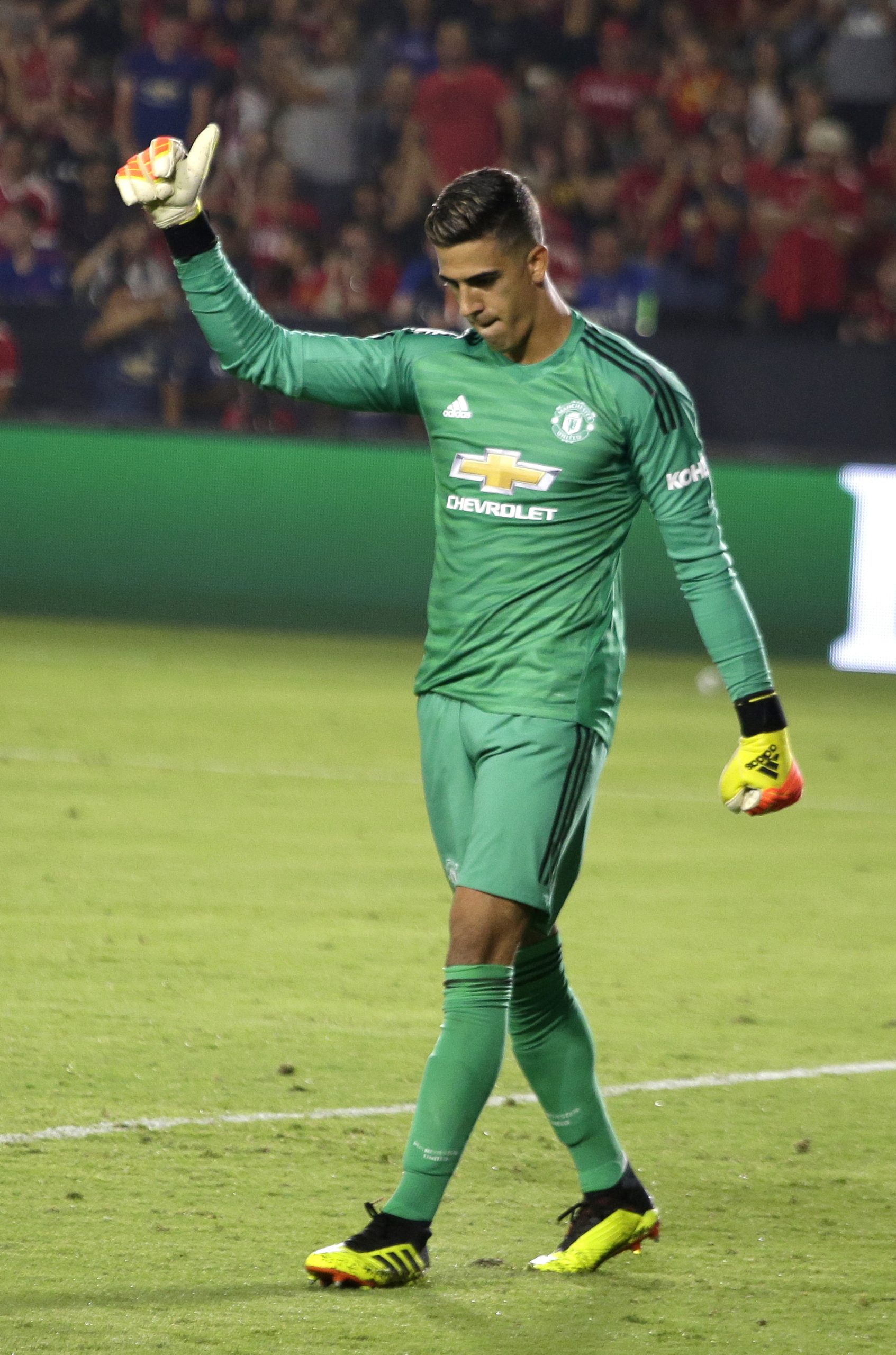 Joel Pereira regressa ao Manchester United