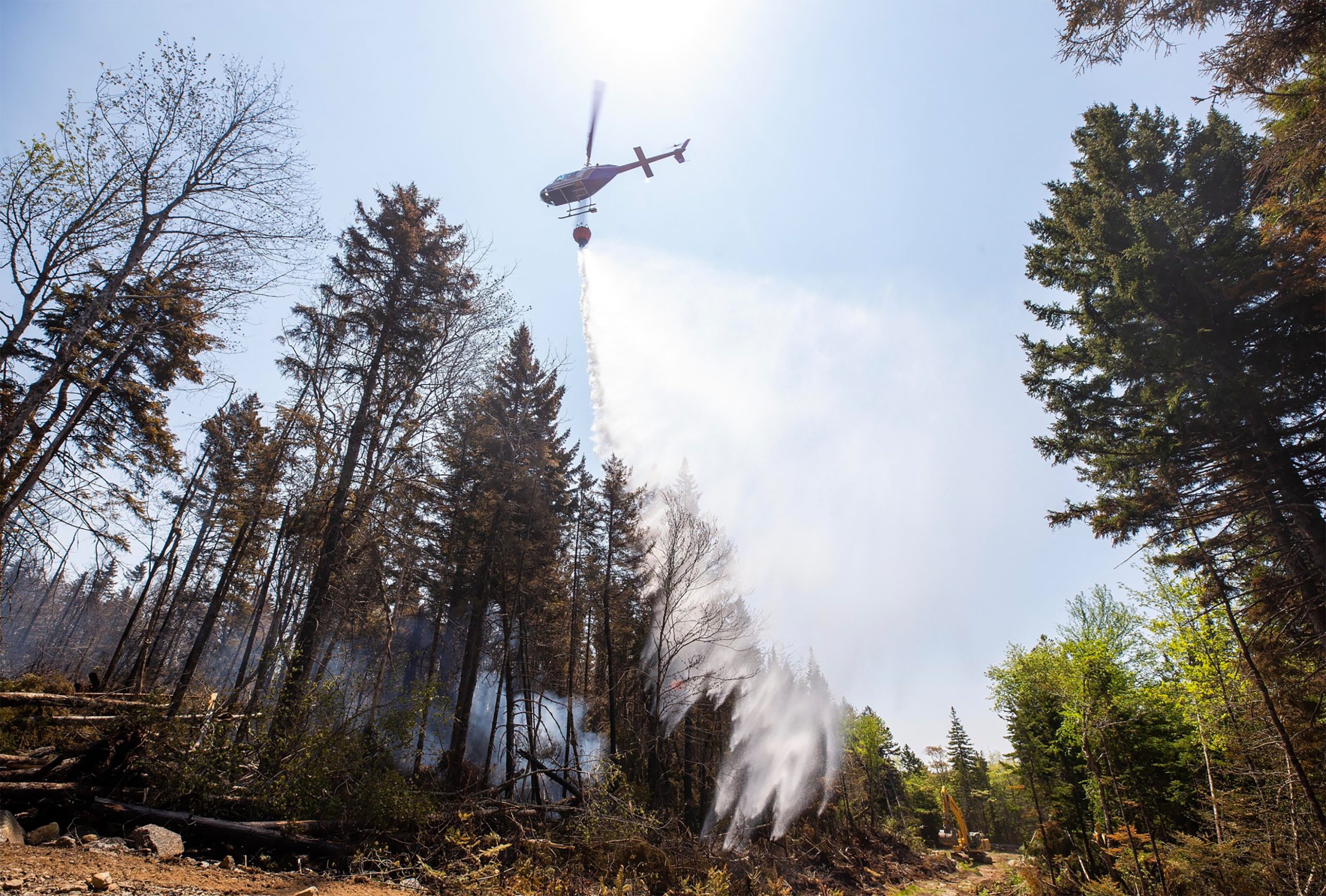Incêndios: Região de Leiria recomenda que não se autorizem queimadas até 30 de setembro