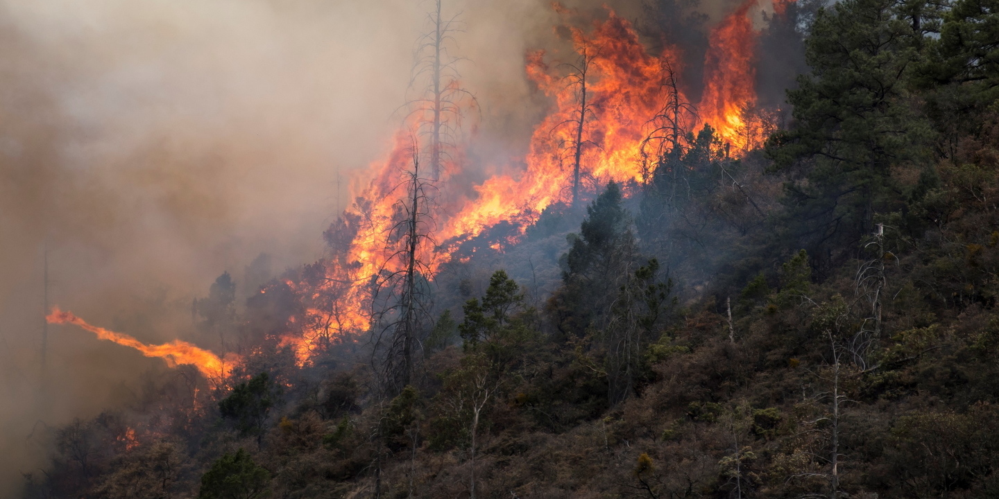 Dois mortos em fogos florestais que se multiplicam na Bulgária