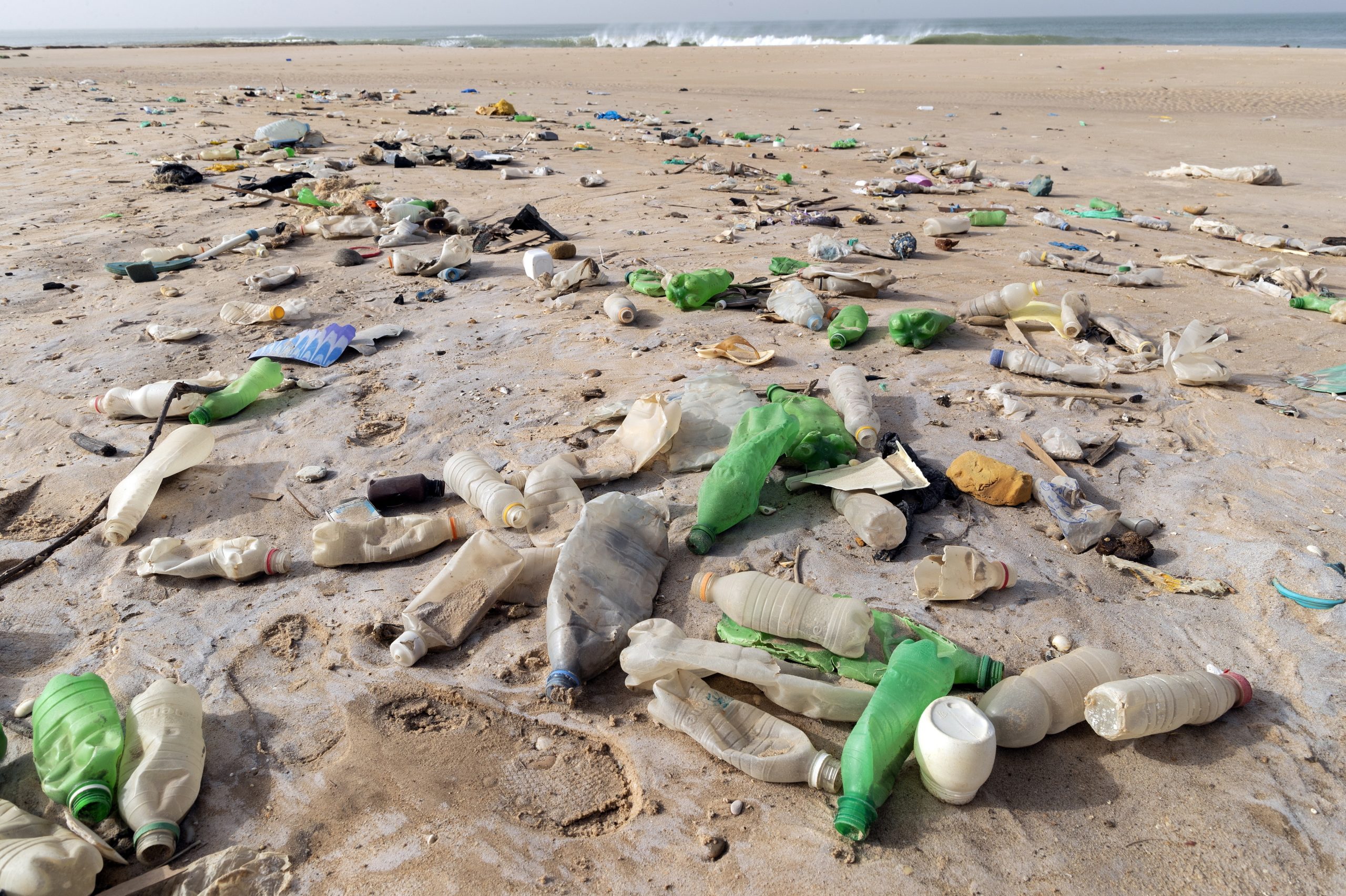 G20 decide criar estrutura para sensibilizar sobre o plástico nos oceanos