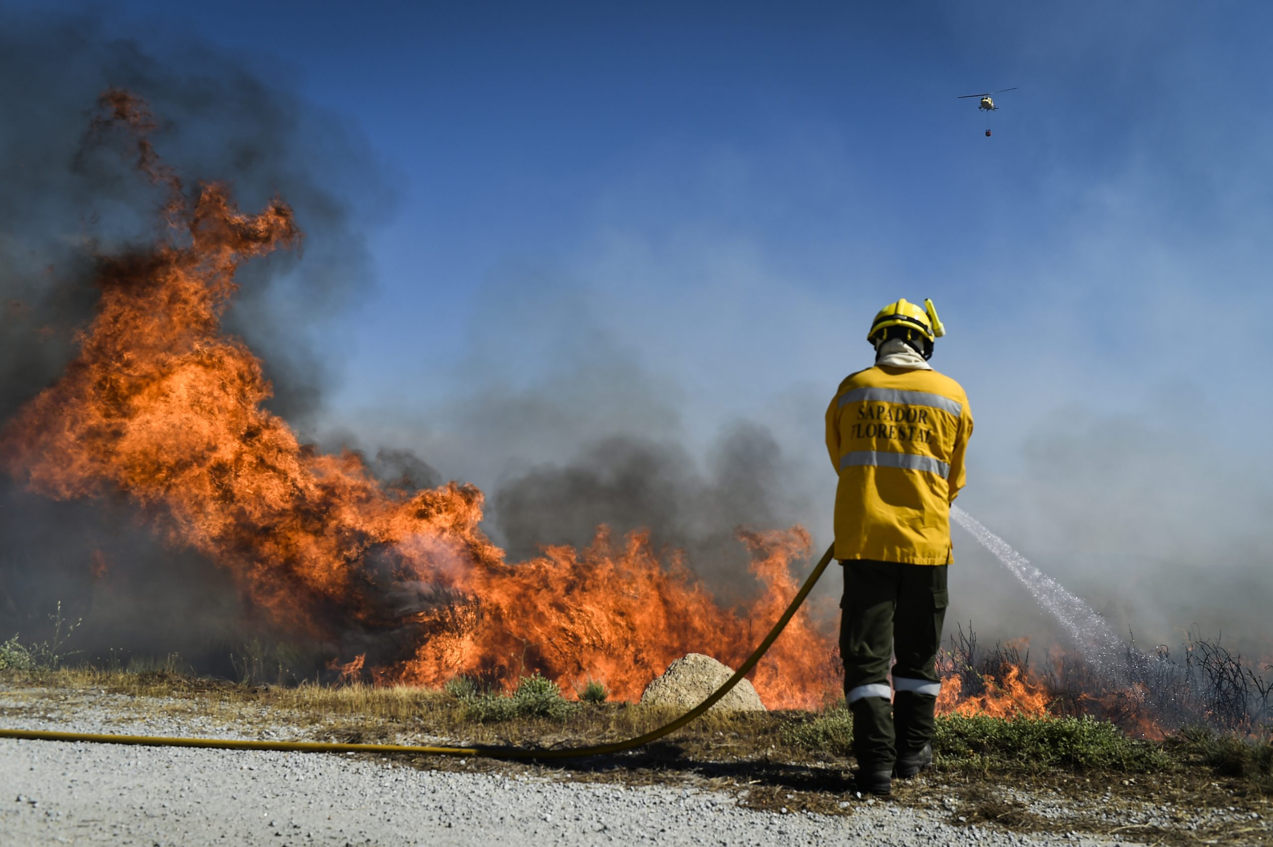 Fogo em Viseu entrou em fase de resolução às 15:16