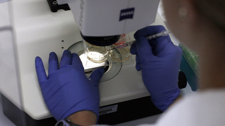 Onde andam os investigadores portugueses? Há uma base de dados que vai identificá-los