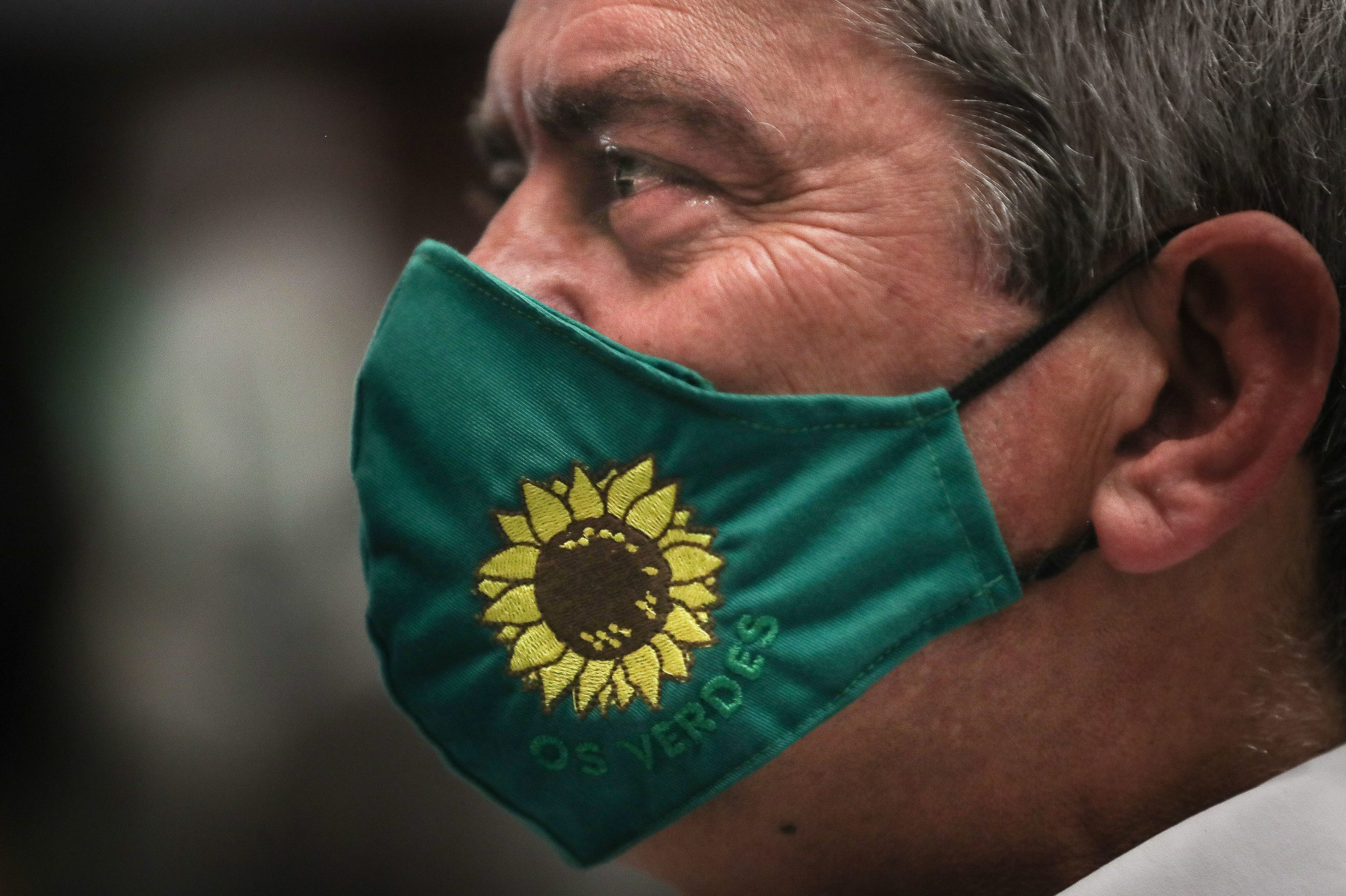“Os Verdes” defendem que “os verdadeiros ecologistas têm de ser de esquerda”