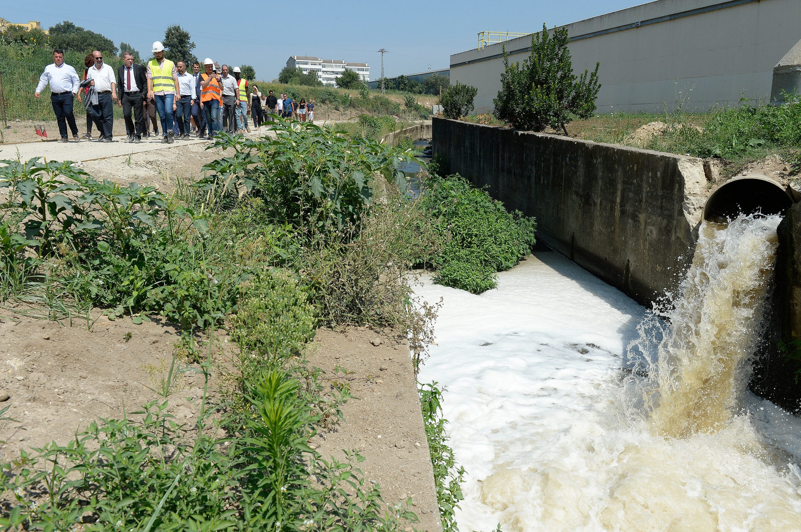 Lipor considera que presença de patos, tritões e salamandras é sinal de melhoria no rio Tinto