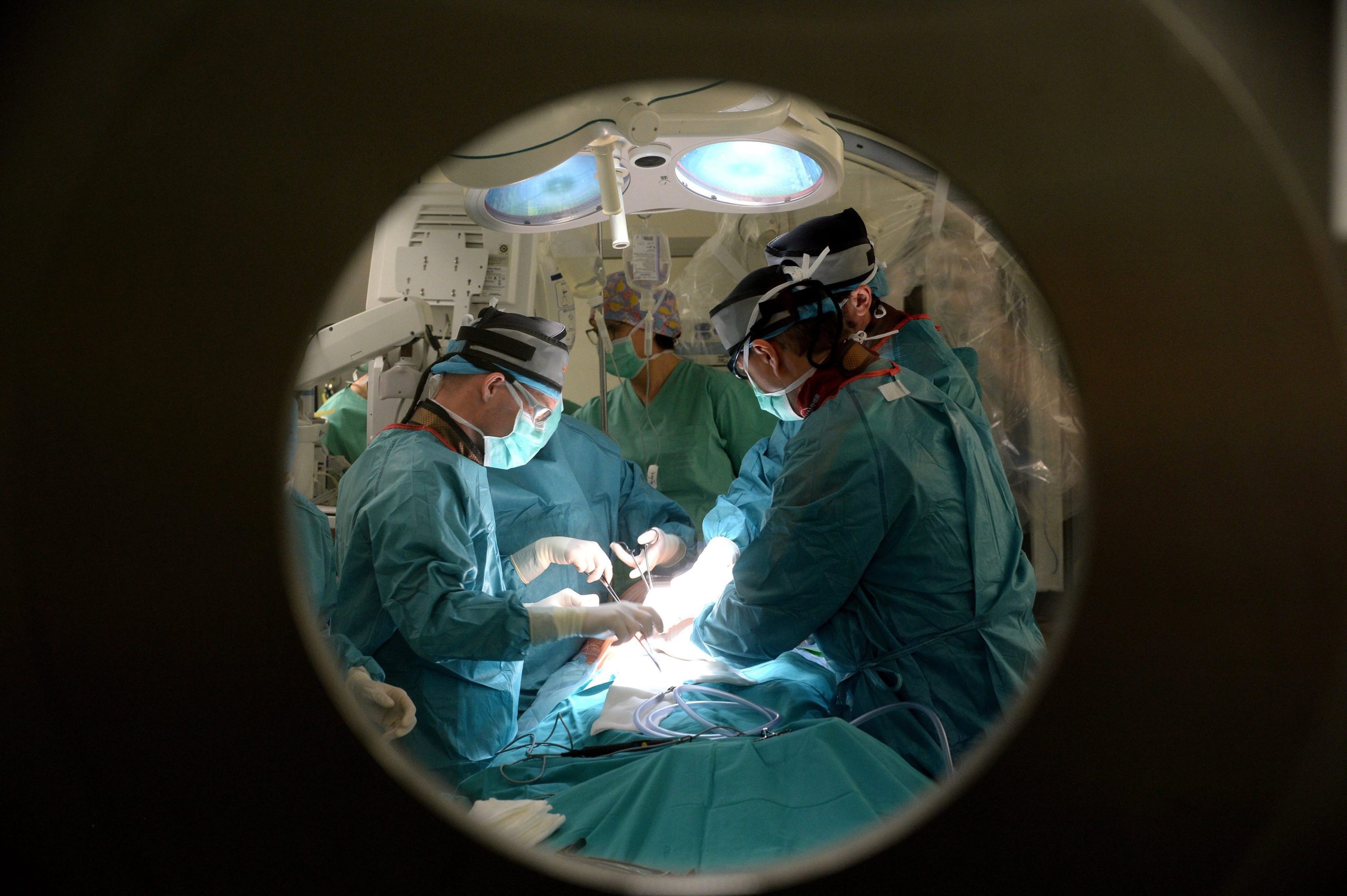Nunca houve tantos órgãos colhidos para transplante como em 2016