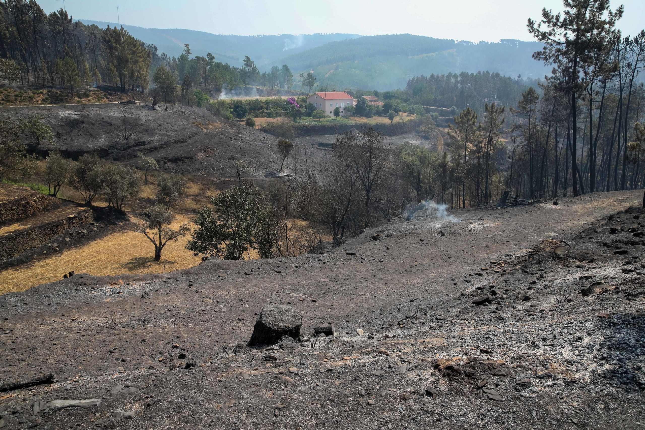 Fogo em Oleiros tinha potencial de atingir mais de 20 mil hectares