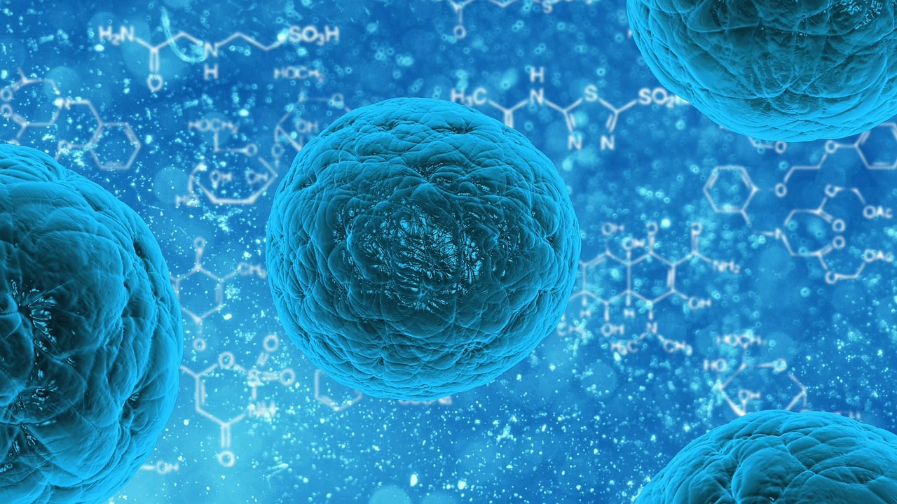 OMS atualiza lista de bactérias que ameaçam saúde humana por resistirem aos antibióticos