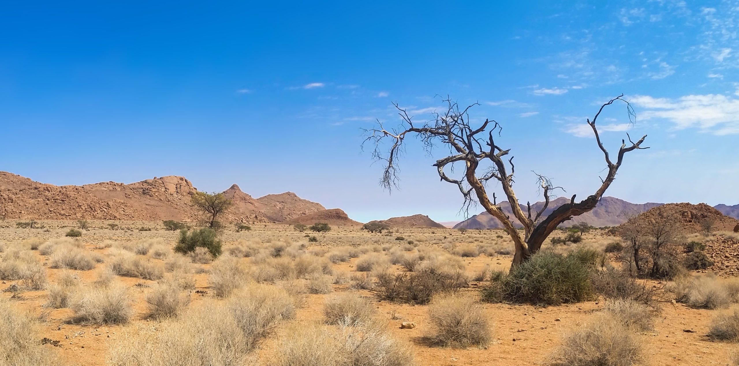 Tribunal de Contas Europeu critica Comissão Europeia e Estados-membros por incoerência no combate à desertificação