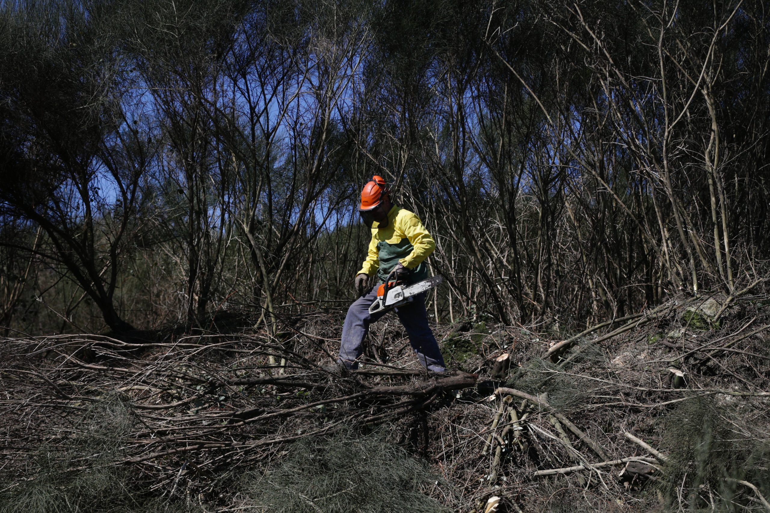 Governo dá mais um mês aos proprietários para que limpem os terrenos