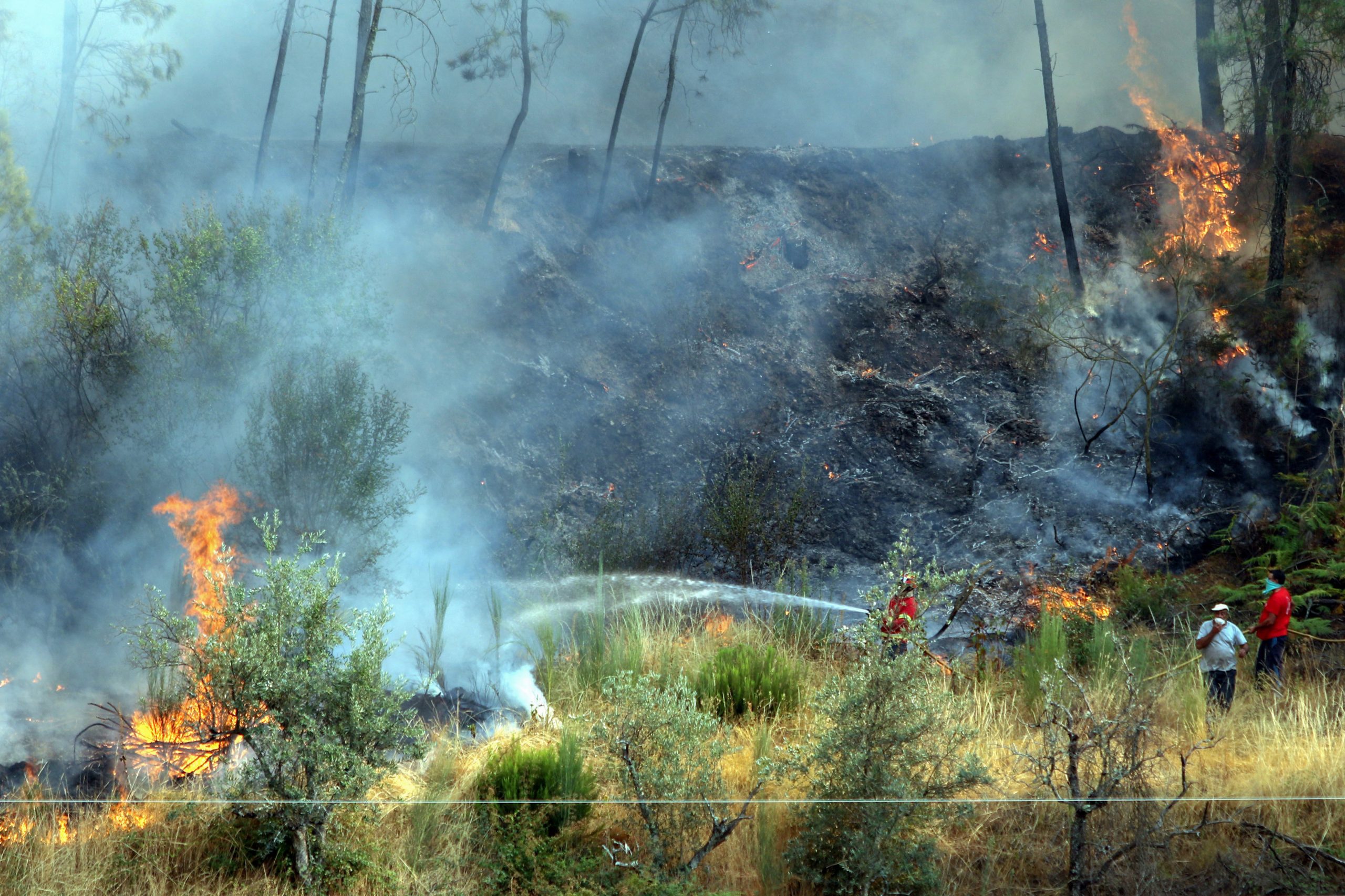 Incêndios: Fogo destruiu 70 casas e 15 mil hectares de floresta em Oleiros