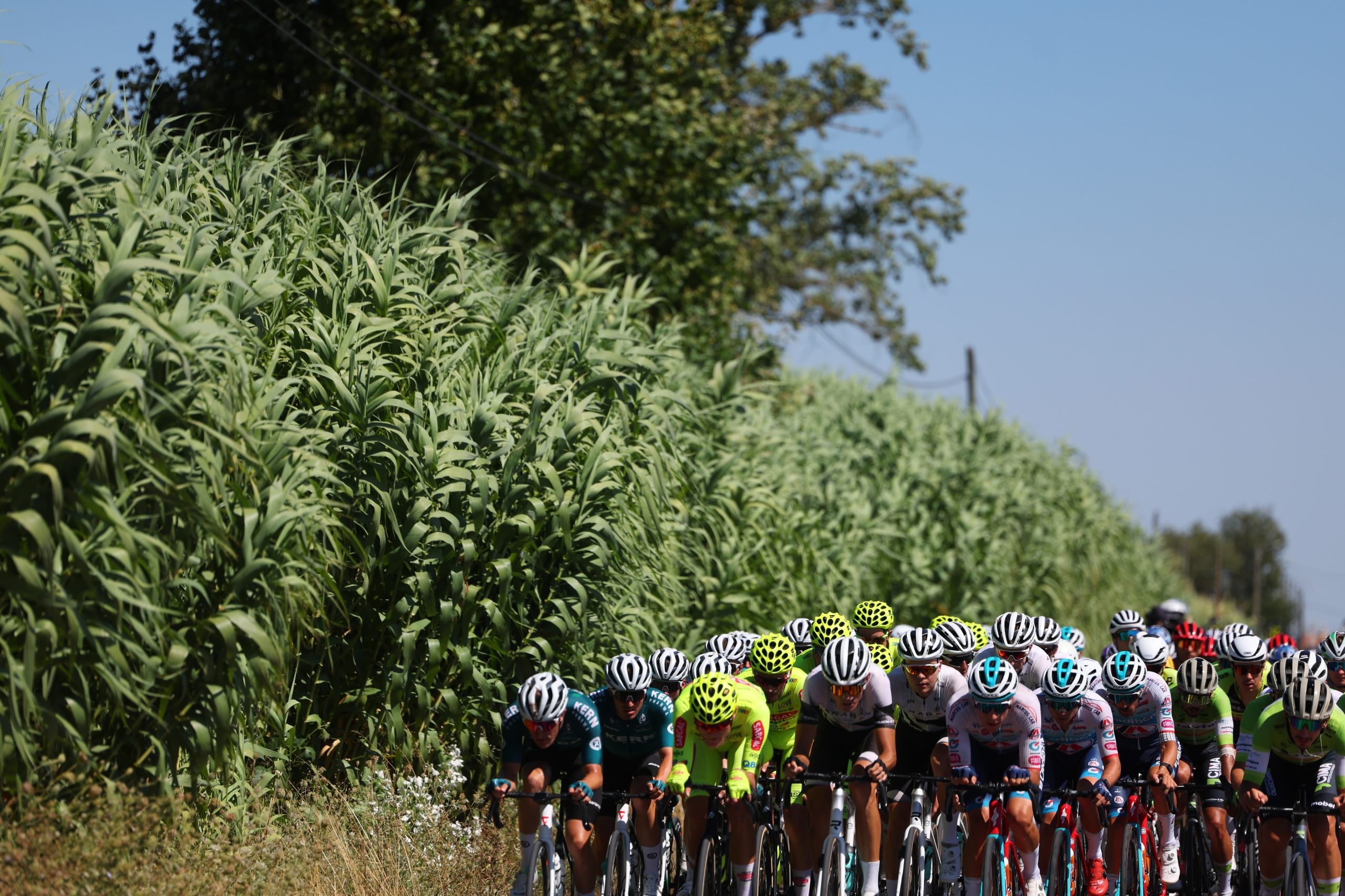 Volta a Portugal: Etapa rainha testa hoje liderança de Stüssi na Torre