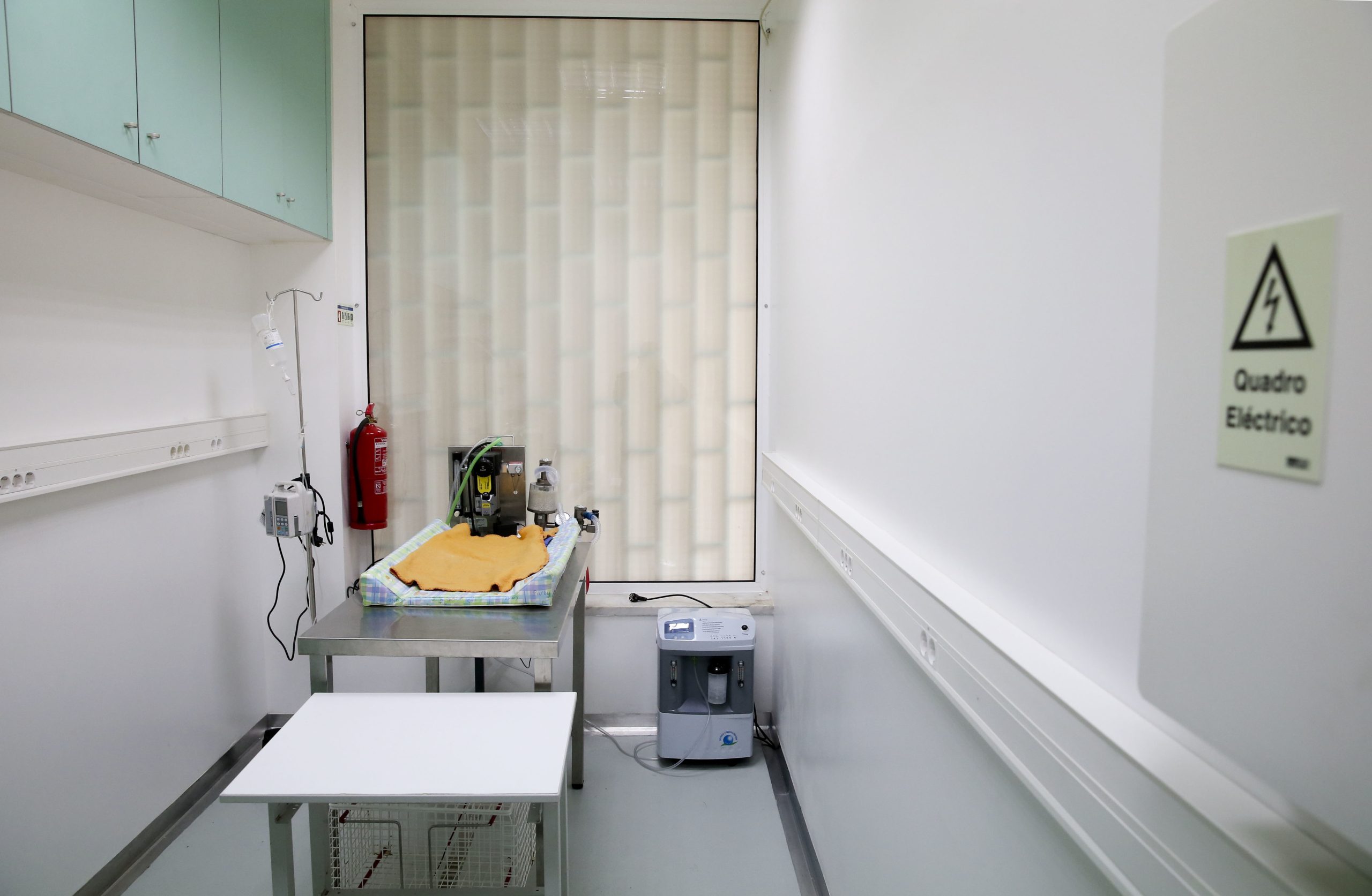 OE2022: BE, Chega e PAN pegam em petição e apresentam projetos de lei para baixar IVA dos atos veterinários