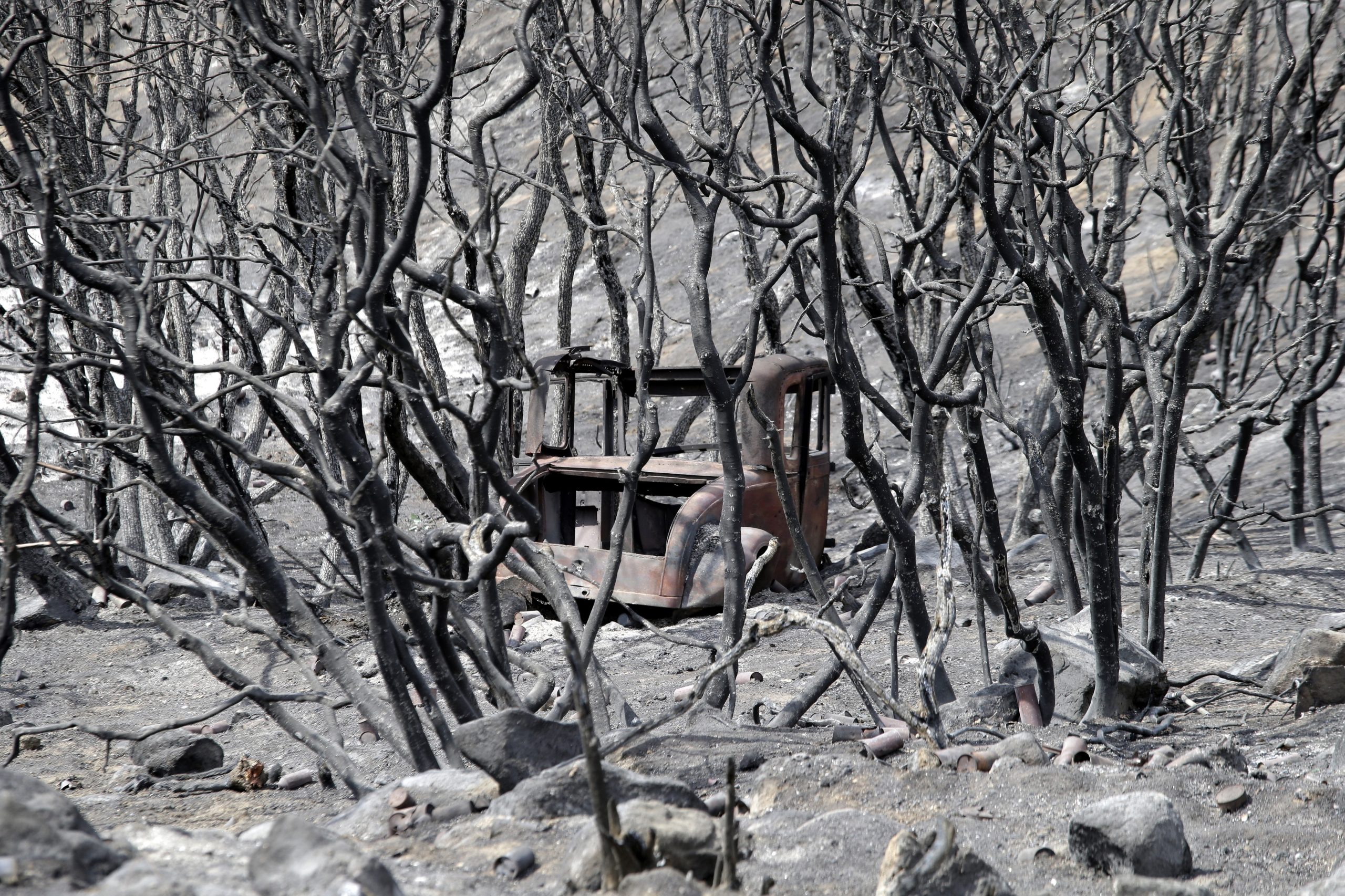 Incêndios na Califórnia já provocaram oito mortos e destruíram 93 mil hectares