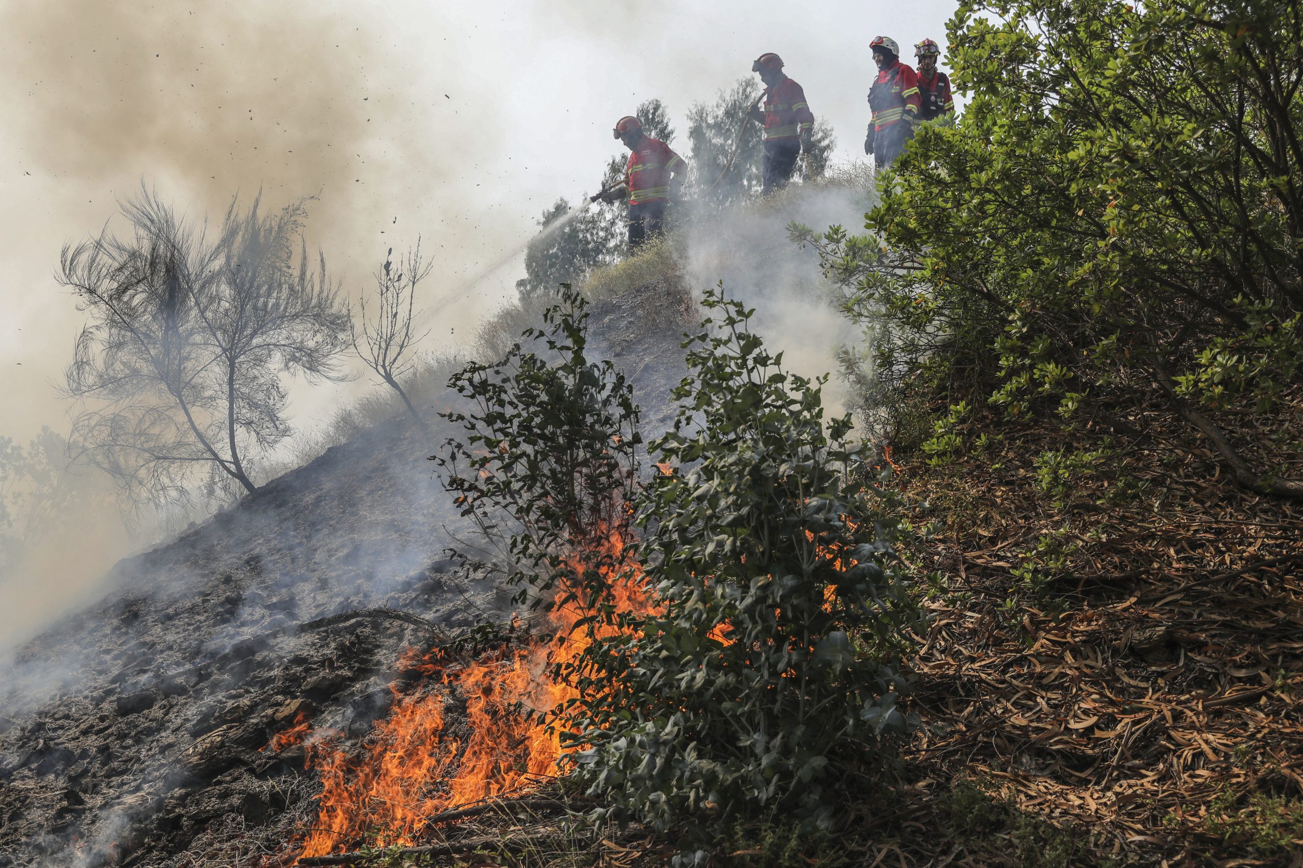 Associação Bombeiros Voluntários enaltece trabalho dos operacionais