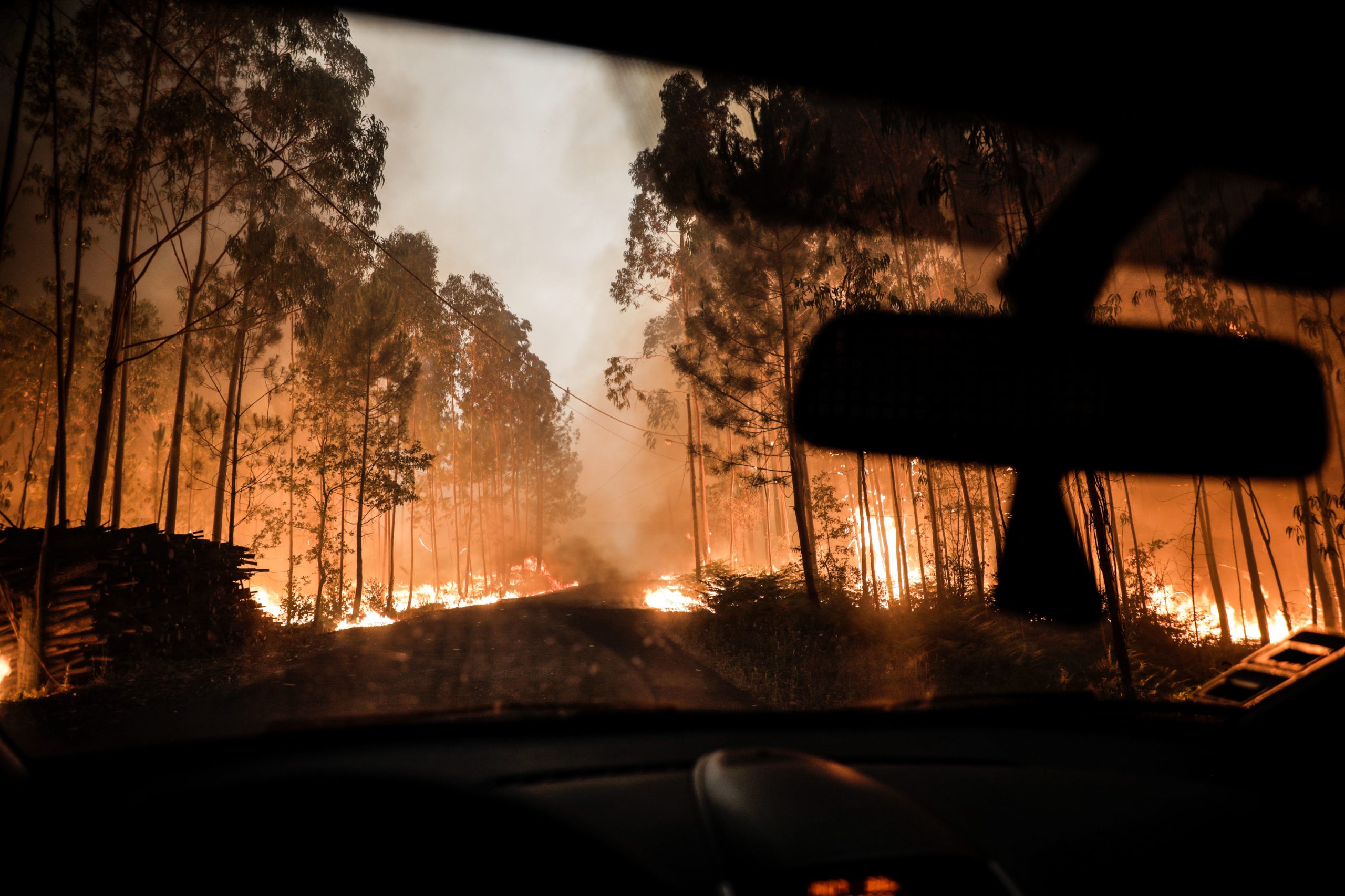 Câmara de Leiria pede vigilância à população na prevenção de incêndios