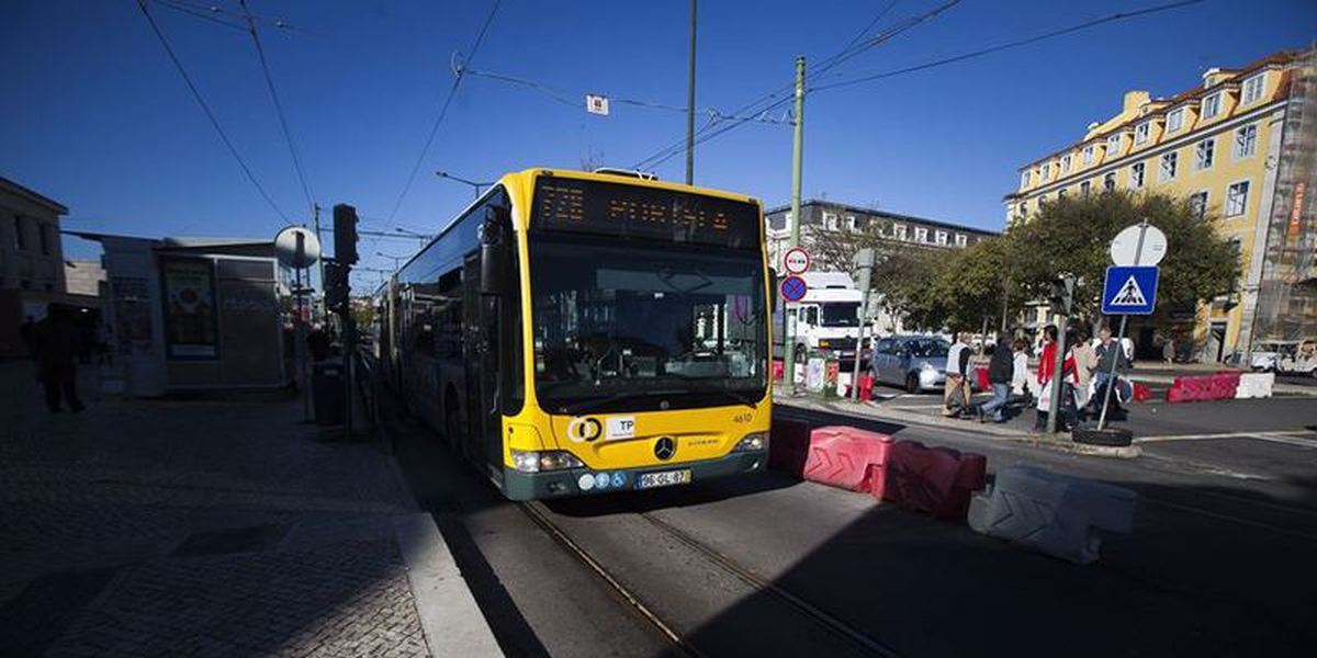 Grupo de cidadãos exige reposição de “todos os bancos das paragens” de autocarro