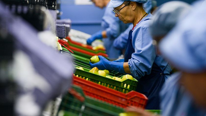 Câmara de Palmela justifica ementa vegetariana nas escolas com incentivo ao consumo de vegetais