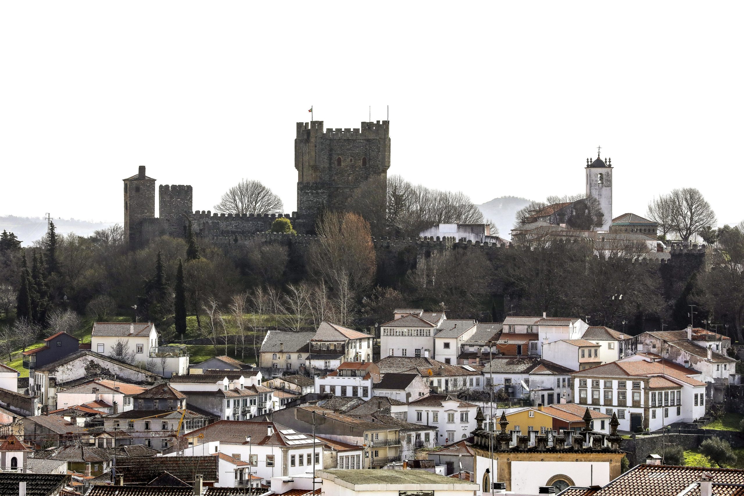 Covid-19: Mais de um terço da população do distrito de Bragança vacinada com pelo menos uma dose