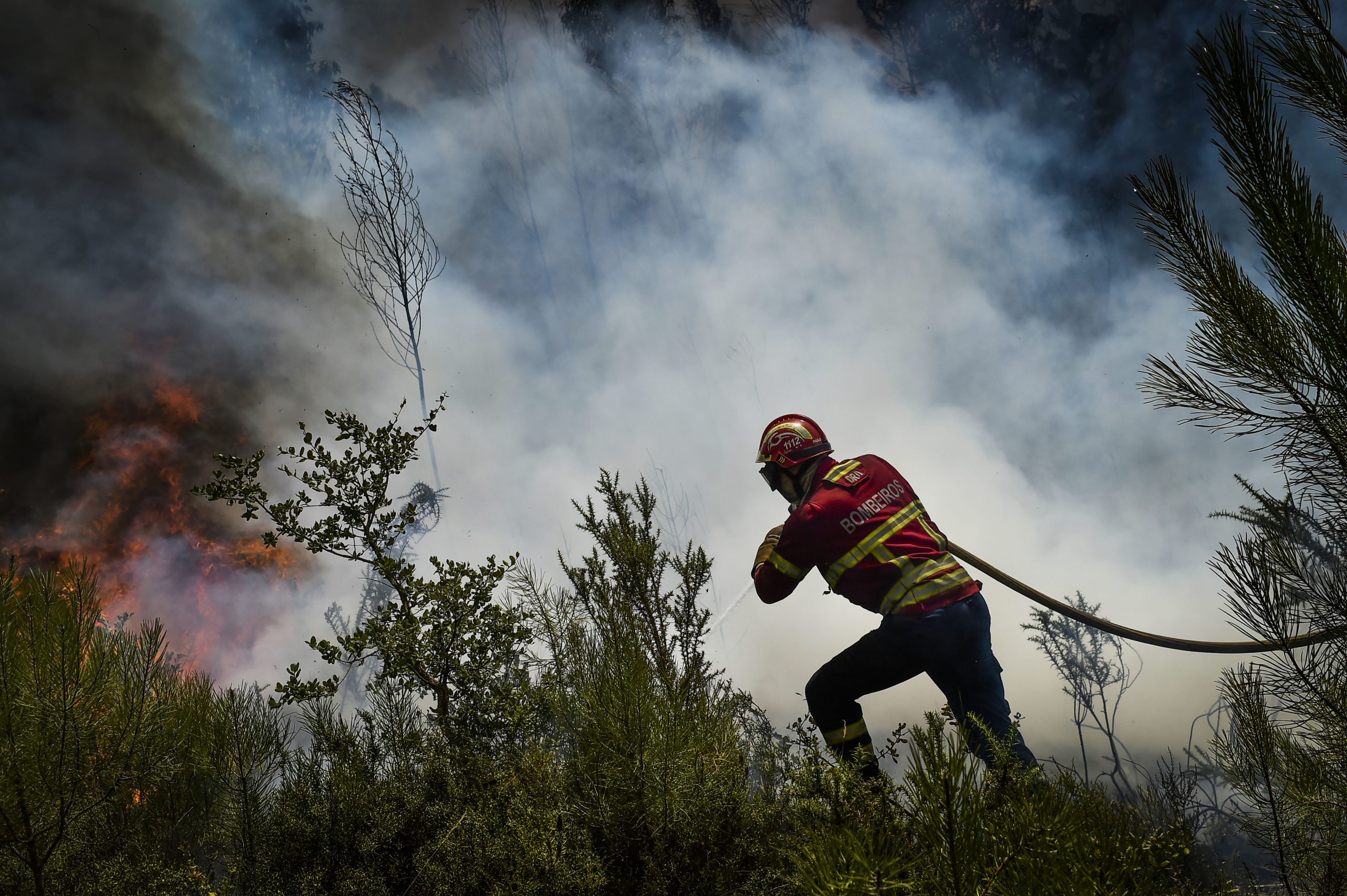 Incêndios: Fogo de Vila Pouca de Aguiar mantém uma frente activa