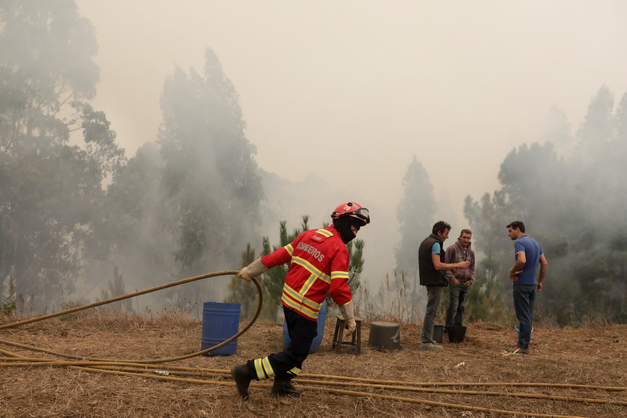 Incêndios: Homem confessou ter ateado fogo no pior dia do ano em Oliveira de Azeméis