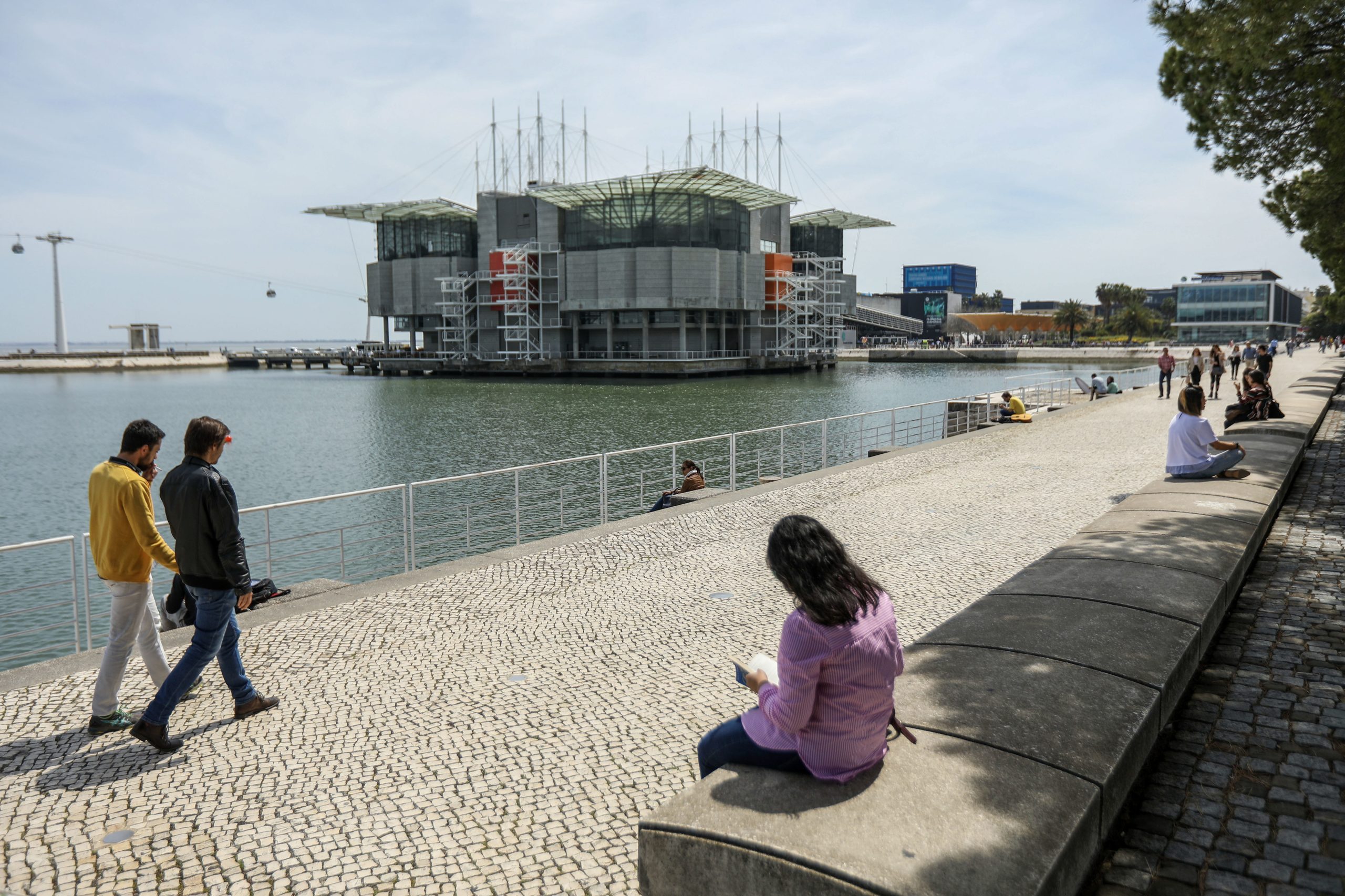 Universo Submerso: há uma nova exposição imersiva do Oceanário de Lisboa