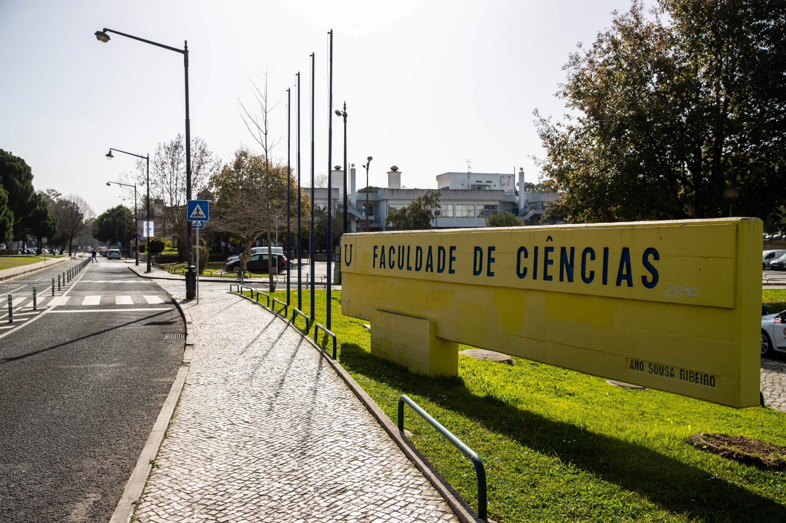 Novo órgão consultivo do Governo pode ajudar universidades a adaptarem-se à mudança