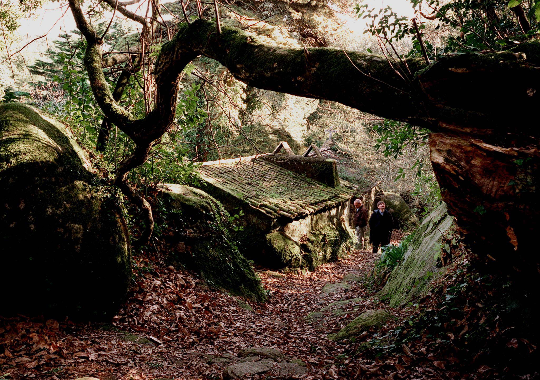 Onda de greves chega a Sintra. Monumentos e parques fechados até domingo