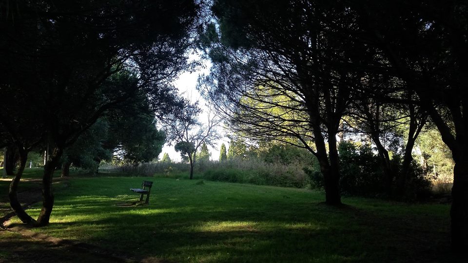 Moradores da Costa da Guia, Cascais, protestam contra construção em espaço verde