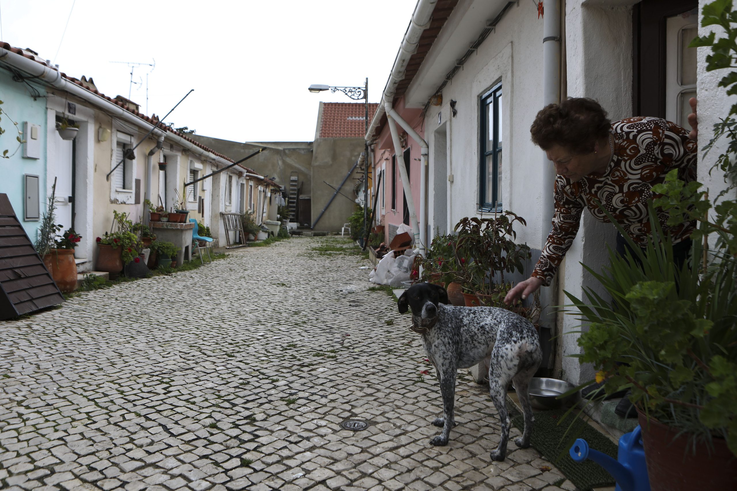 Bombeiros têm ambulância exclusiva para socorro a animais em Esposende