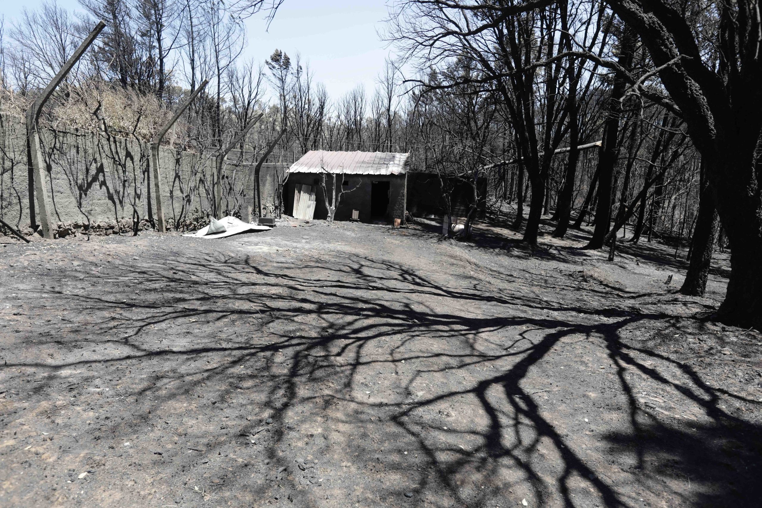 Inauguração de memorial dos Incêndios de 2017 afinal vai ser decidida pela CIM de Leiria e associação de vítimas