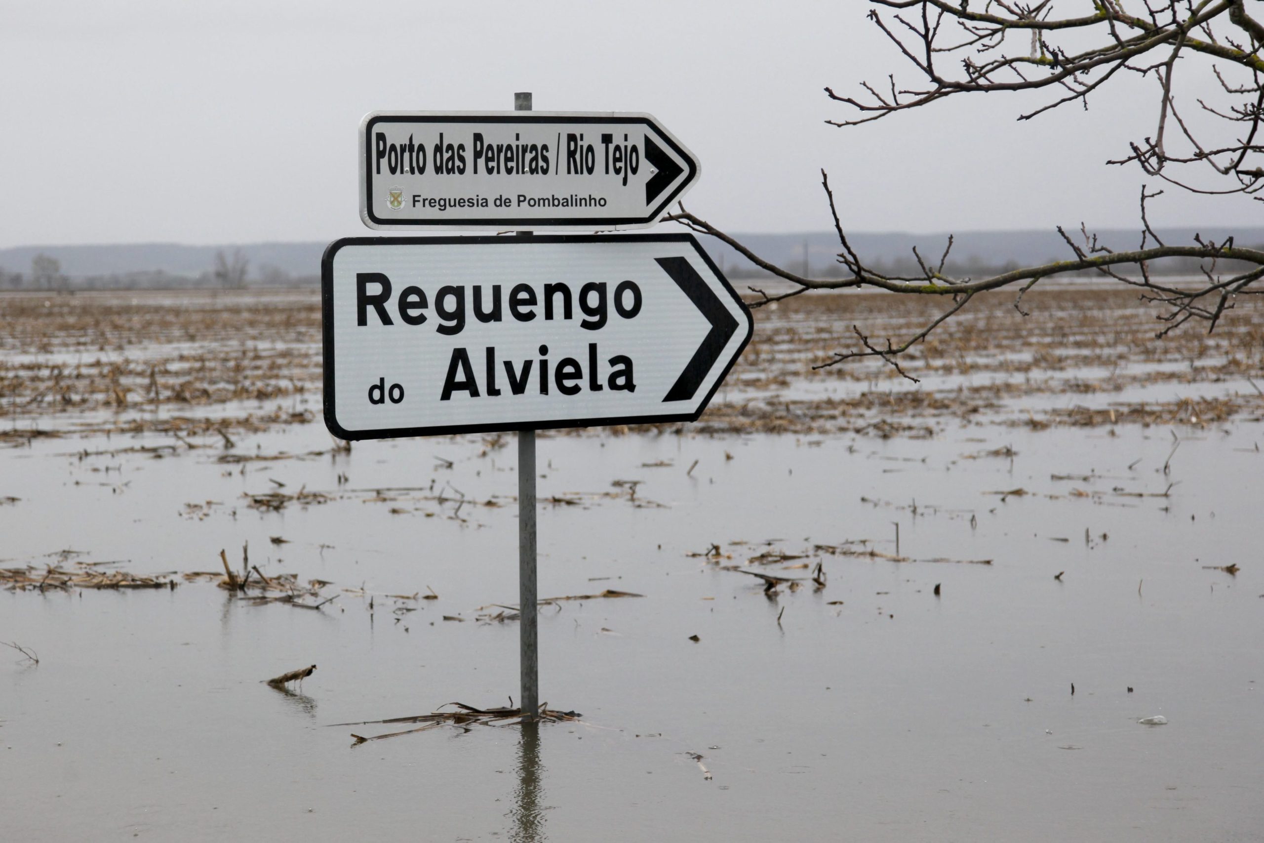 Estrada que liga a Golegã a Santarém submersa devido ao aumento do caudal do Tejo