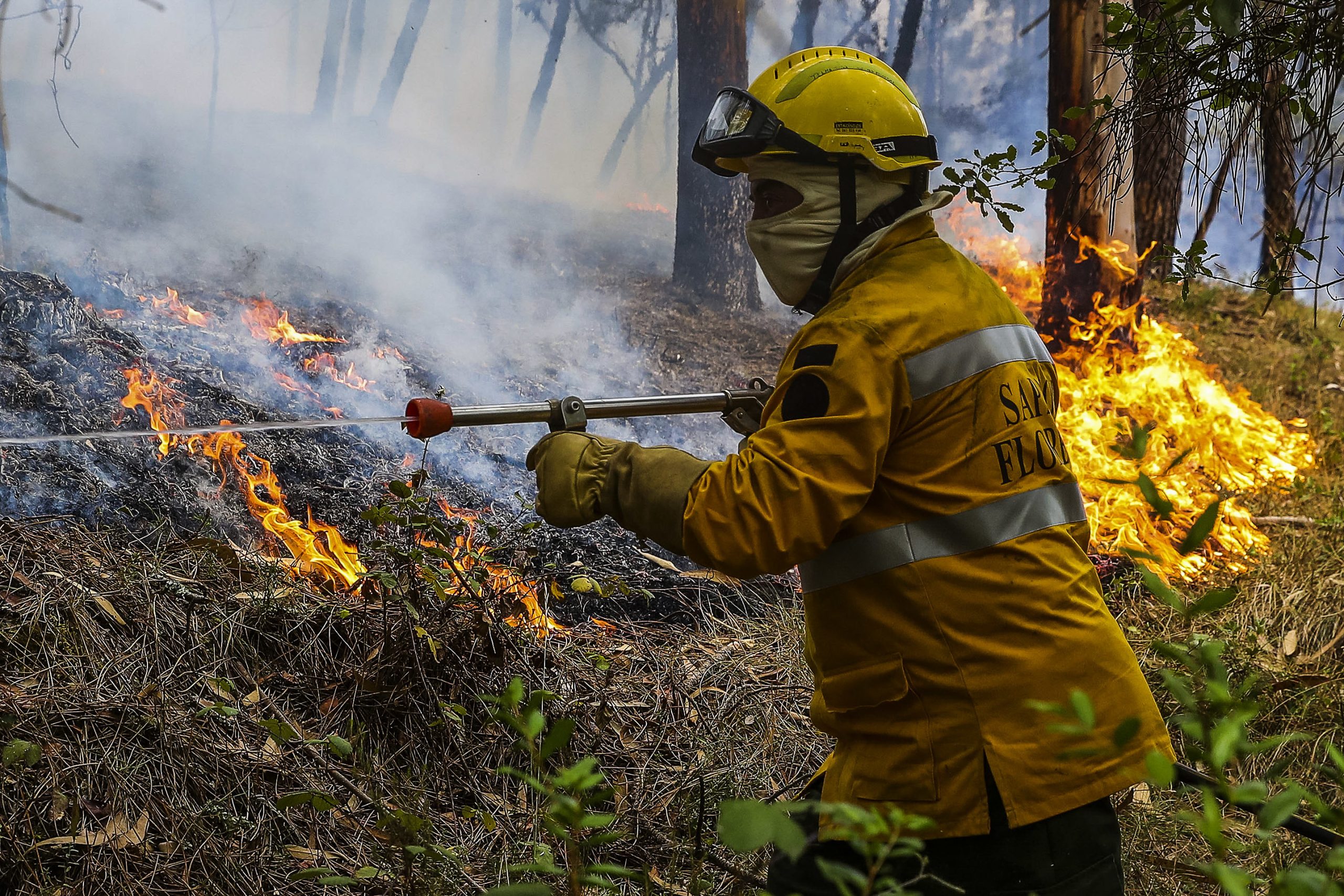 Duzentos bombeiros combatiam às 16h00 fogo em Pombal com duas frentes