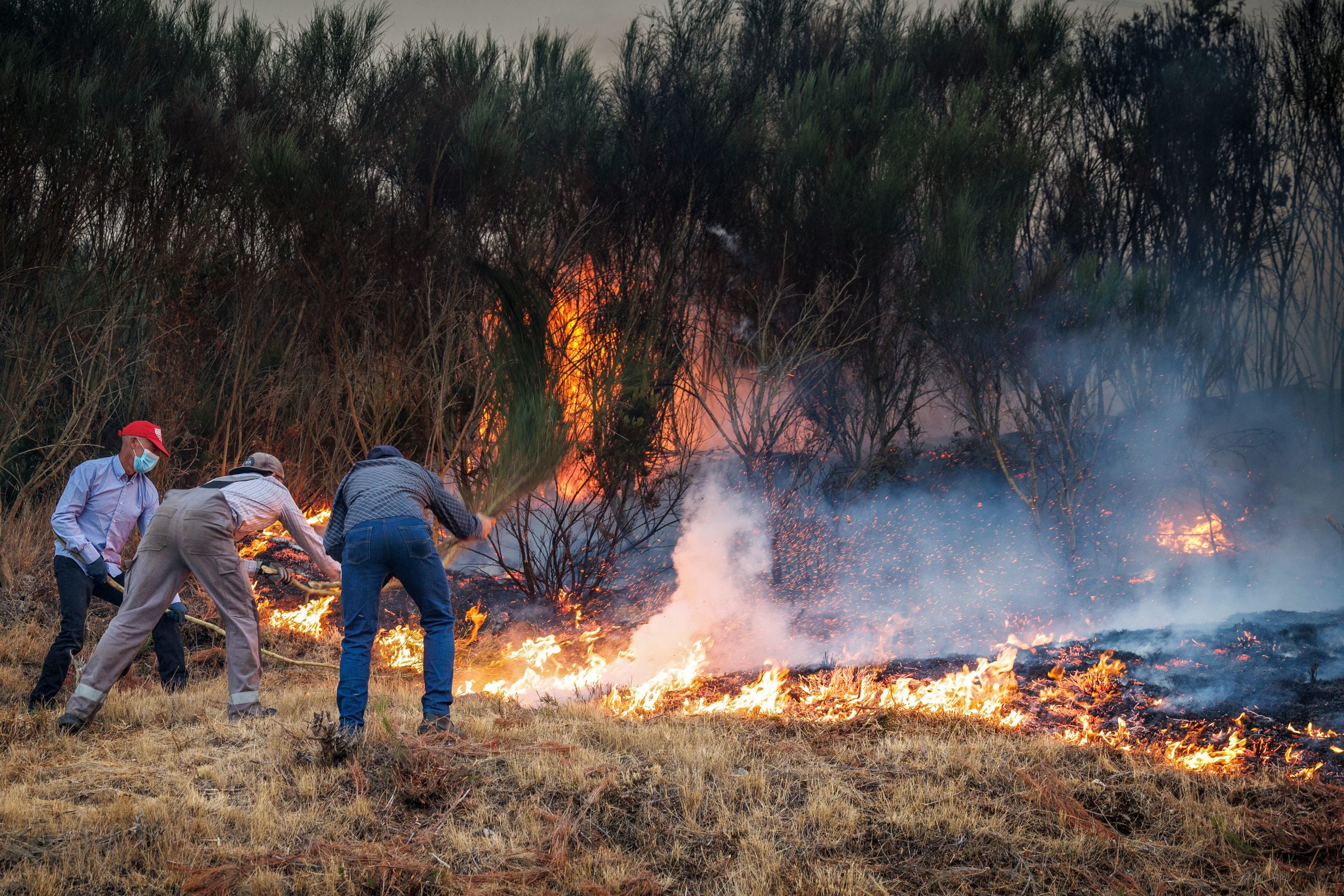 Sete concelhos do distrito de Faro em perigo máximo de incêndio